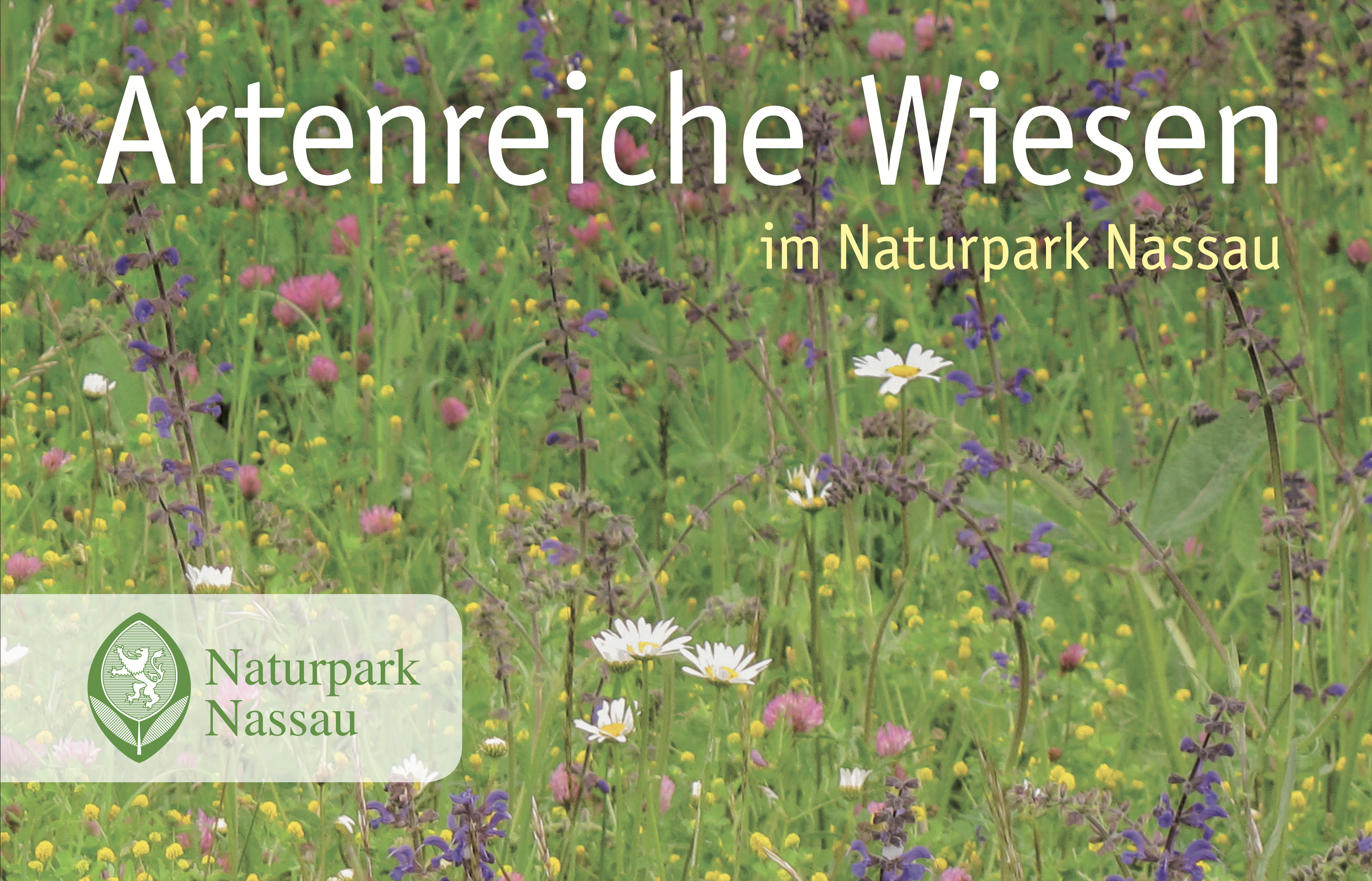 Bildschirmfoto-2026-03-11-um-09.58.26 Artenreiche Wiesen im Naturpark Nassau