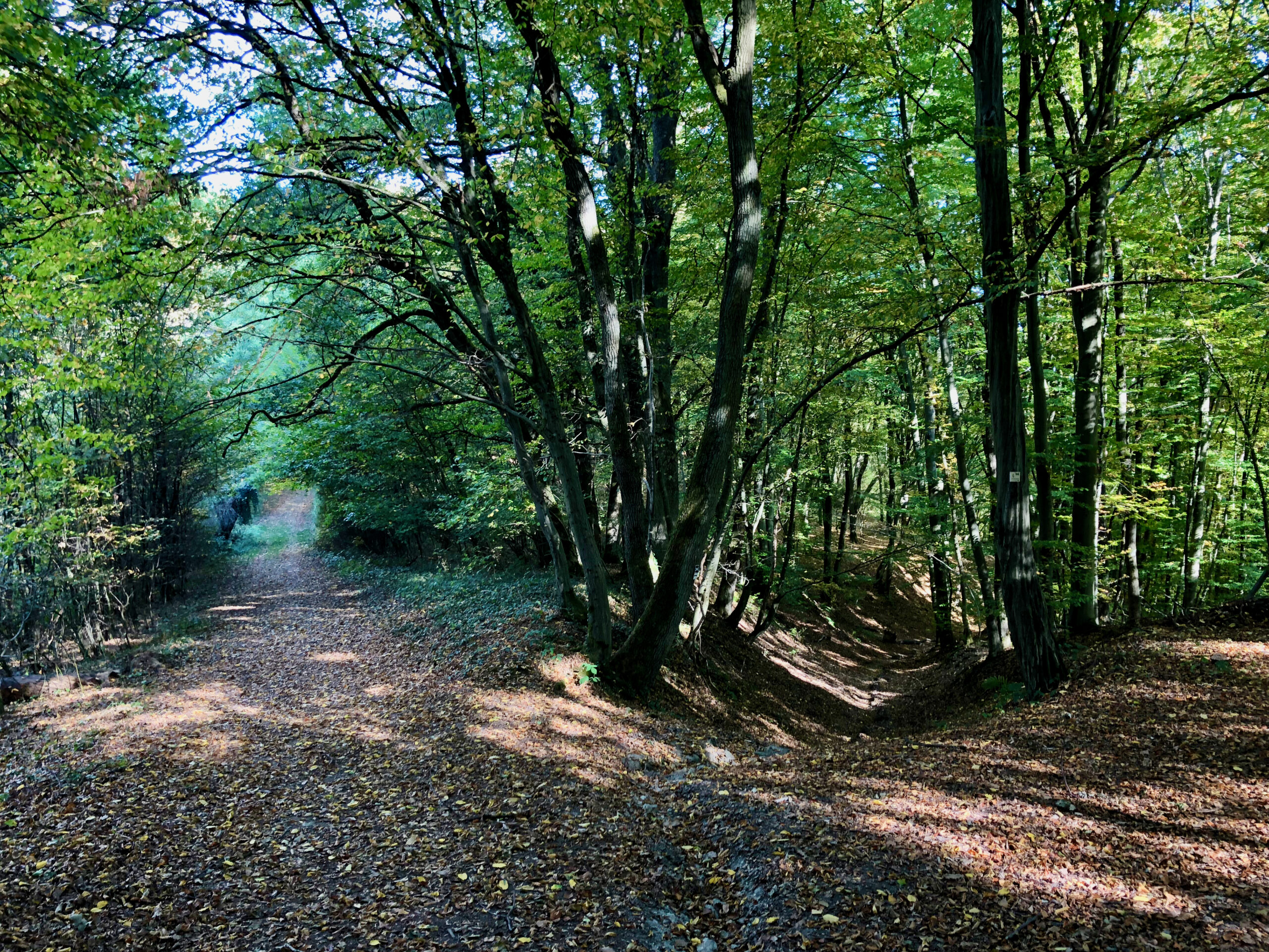 Brunnenburg-2016-mit-schoener-Aussicht-1-1-scaled Klosterweg Bremberg: Entschleunigen zwischen Wald, Weite und Klöstern