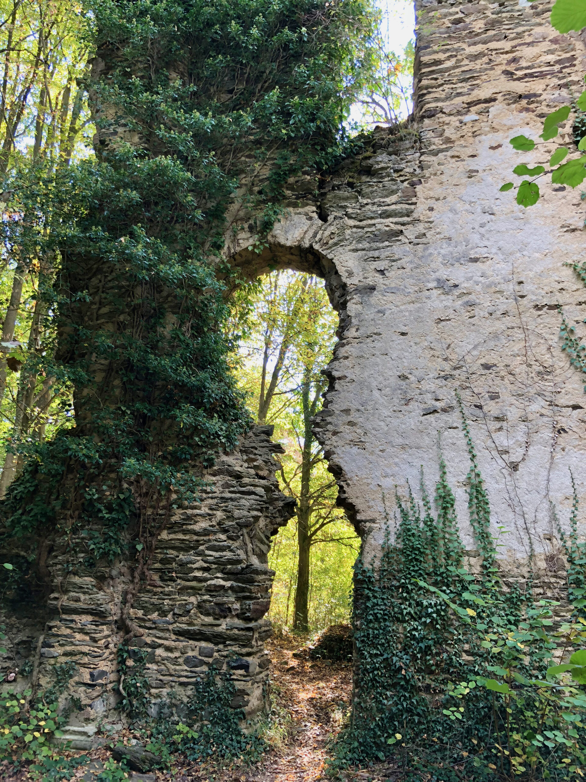 Brunnenburg-2016-mit-schoener-Aussicht-13-1-scaled Klosterweg Bremberg: Entschleunigen zwischen Wald, Weite und Klöstern