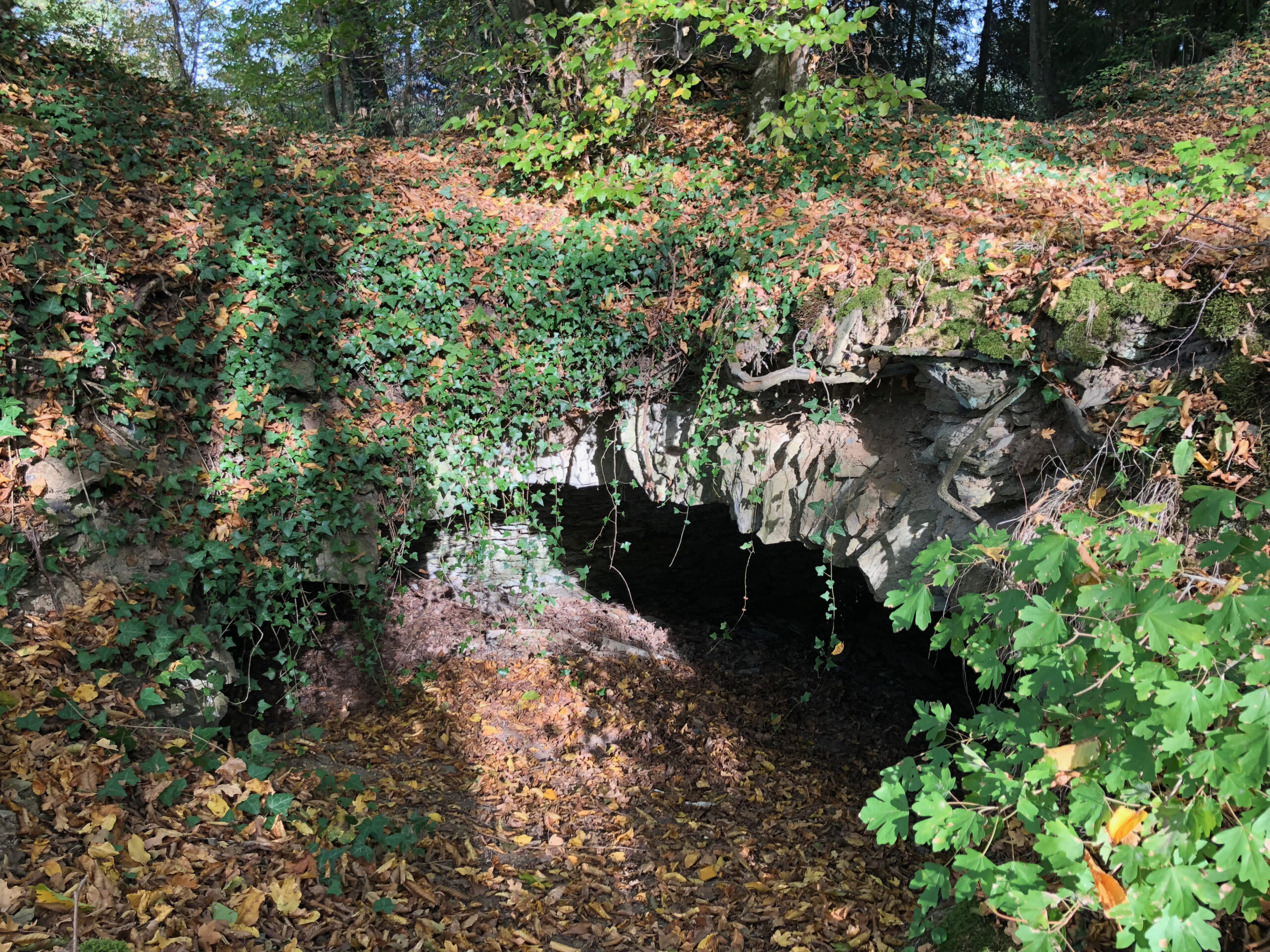 Brunnenburg-2016-mit-schoener-Aussicht-20-scaled Klosterweg Bremberg: Entschleunigen zwischen Wald, Weite und Klöstern