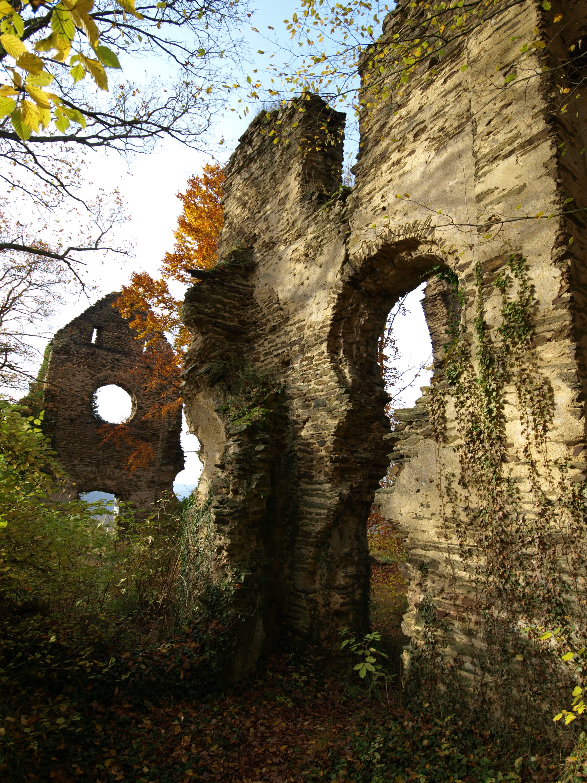 PB023286-2-scaled Klosterweg Bremberg: Entschleunigen zwischen Wald, Weite und Klöstern