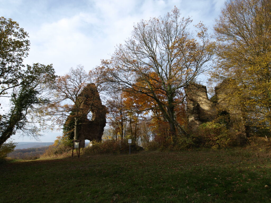 PB023562-1024x768 Klosterweg Bremberg: Entschleunigen zwischen Wald, Weite und Klöstern
