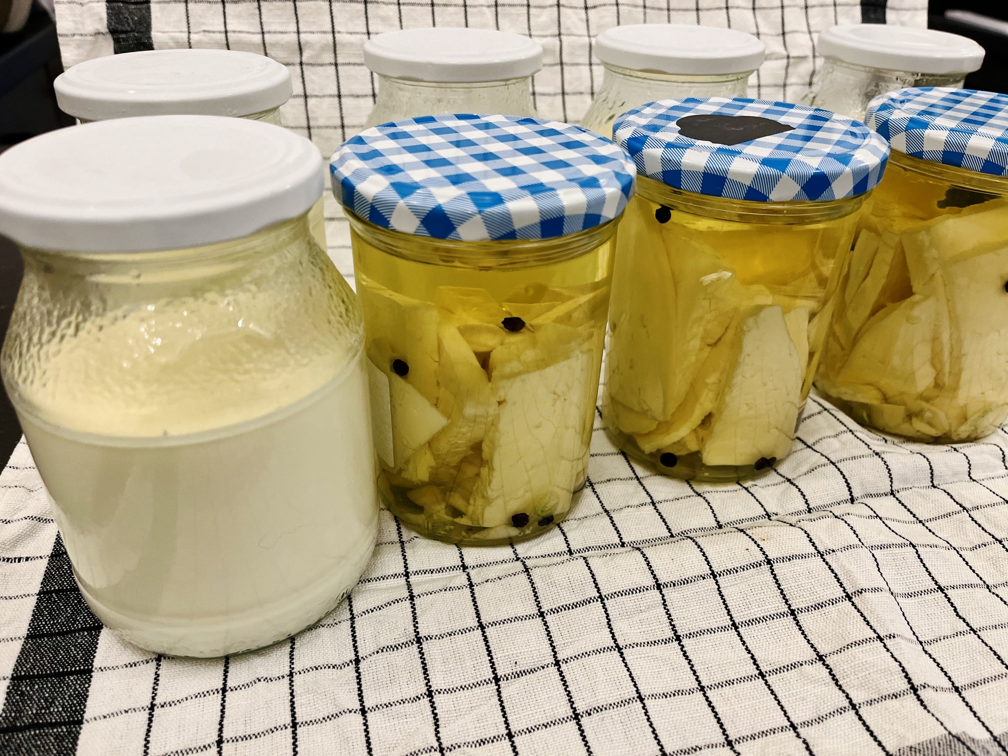 494209494_4231461543802995_7550105650711906766_n-2 Holzhäuser Milchbüdchen – hochwertige Milch direkt vom Landwirt