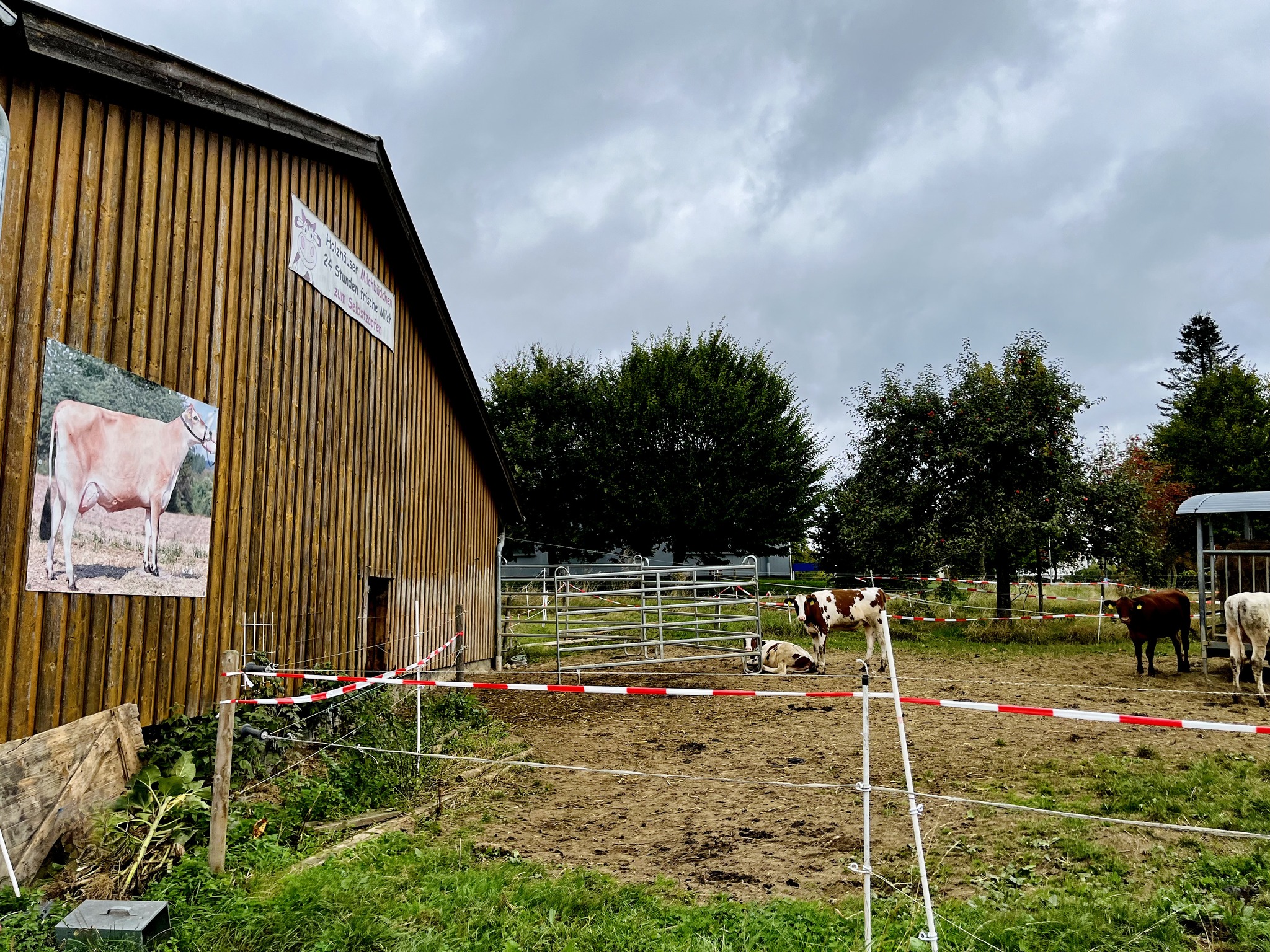 494280474_4230442910571525_6837168986341805466_n Holzhäuser Milchbüdchen – hochwertige Milch direkt vom Landwirt