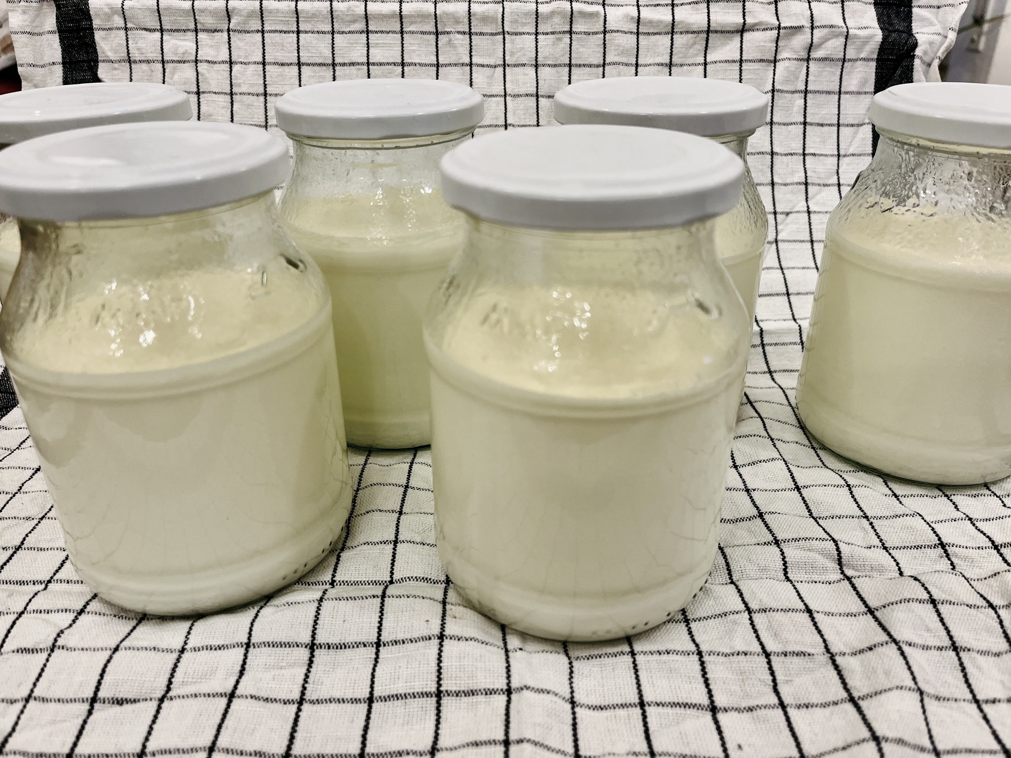495007306_4231461500469666_1321313846473417340_n Holzhäuser Milchbüdchen – hochwertige Milch direkt vom Landwirt