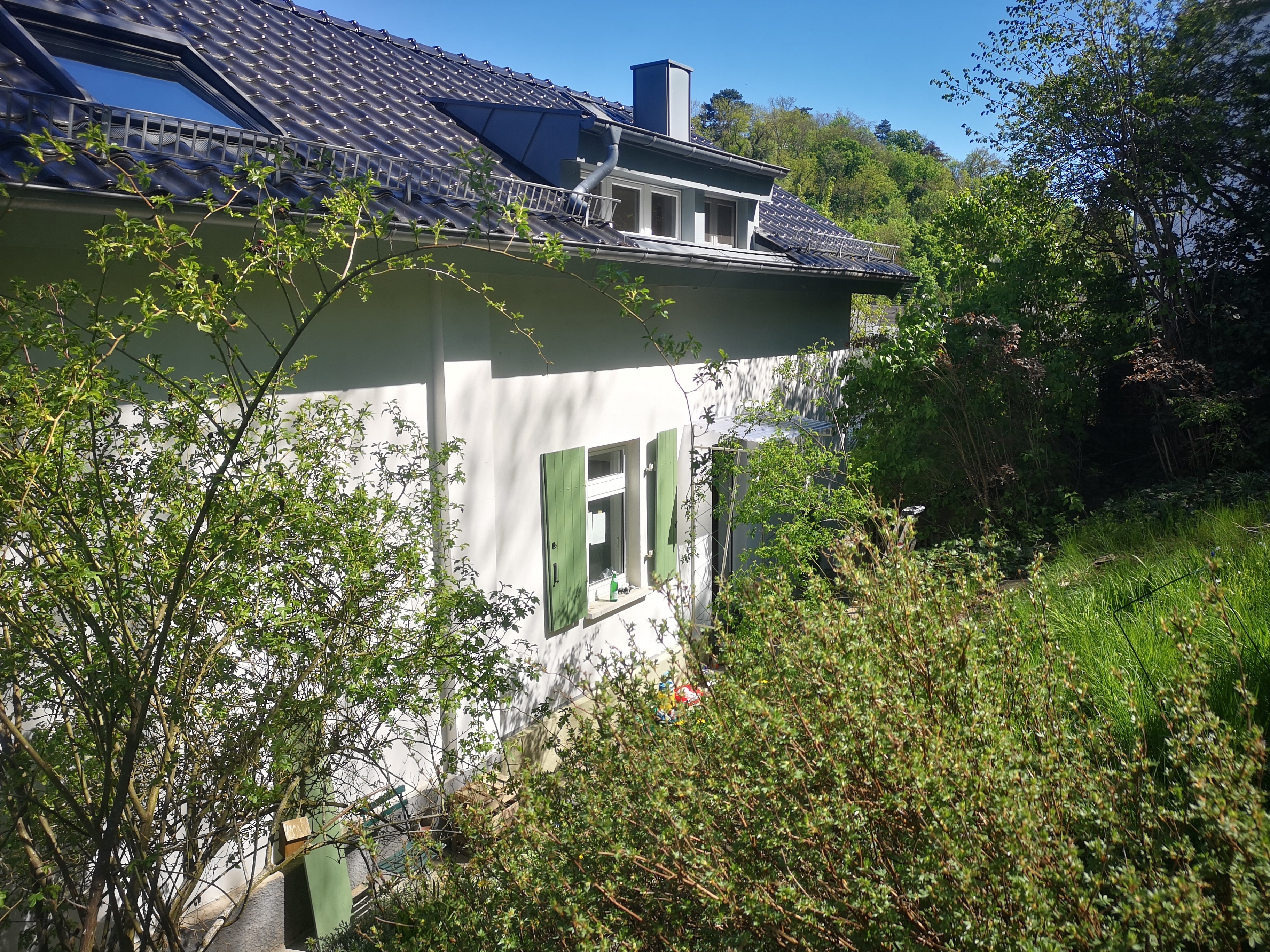Blick-auf-die-Rueckseite „Ich habe fünf Jahre jeden Tag auf dieses Haus geguckt. Dann hab ich’s gekauft.“