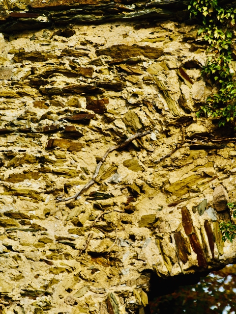 Brunnenburg-Bremberg-Klosterruine-Brunnenburg-Bremberg-15 Die Klosterruine Brunnenburg bei Bremberg – Ein Ort lebendiger Geschichte 
