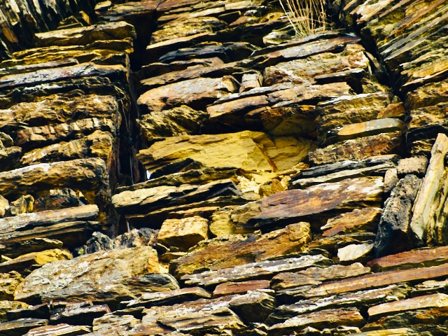 Brunnenburg-Bremberg-Klosterruine-Brunnenburg-Bremberg-17 Die Klosterruine Brunnenburg bei Bremberg – Ein Ort lebendiger Geschichte 