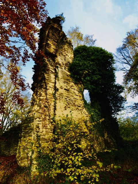 Brunnenburg-Bremberg-Klosterruine-Brunnenburg-Bremberg-22 Die Klosterruine Brunnenburg bei Bremberg – Ein Ort lebendiger Geschichte 