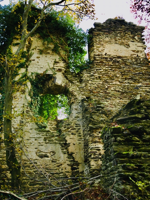 Brunnenburg-Bremberg-Klosterruine-Brunnenburg-Bremberg-26 Die Klosterruine Brunnenburg bei Bremberg – Ein Ort lebendiger Geschichte 