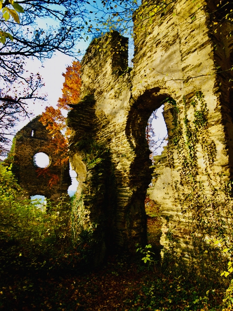 Brunnenburg-Bremberg-Klosterruine-Brunnenburg-Bremberg-5 Die Klosterruine Brunnenburg bei Bremberg – Ein Ort lebendiger Geschichte 