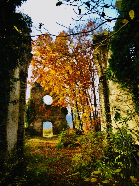 Brunnenburg-Bremberg-Klosterruine-Brunnenburg-Bremberg-7 Die Klosterruine Brunnenburg bei Bremberg – Ein Ort lebendiger Geschichte 