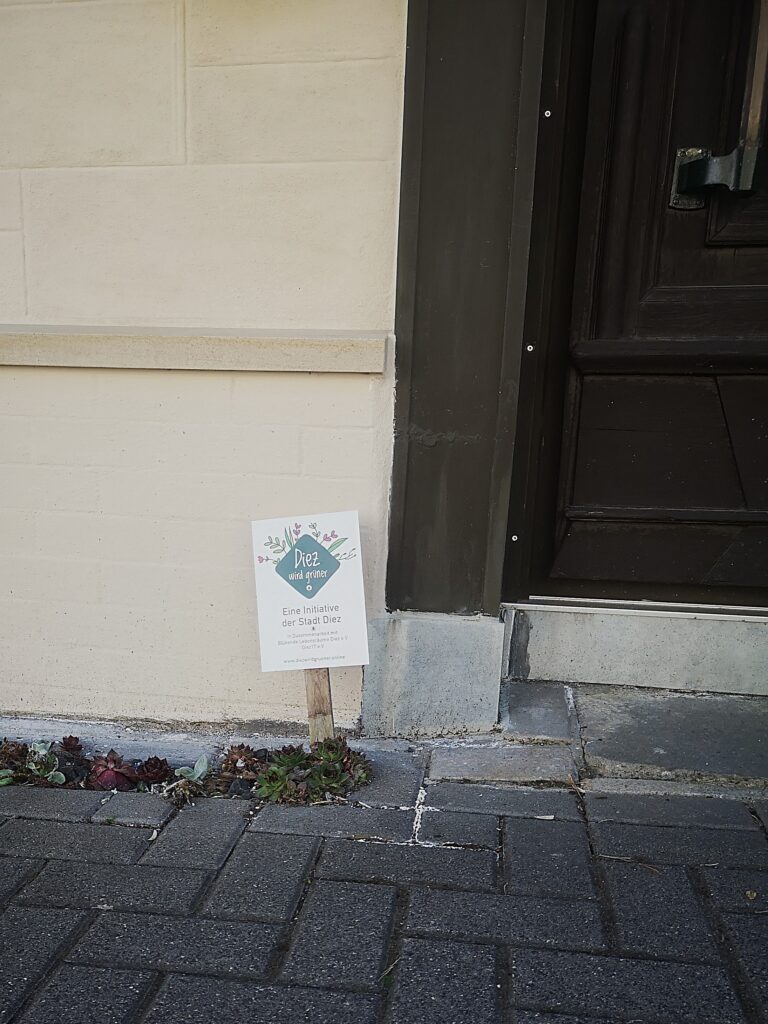 Diez-wird-gruener-768x1024 „Ich habe fünf Jahre jeden Tag auf dieses Haus geguckt. Dann hab ich’s gekauft.“