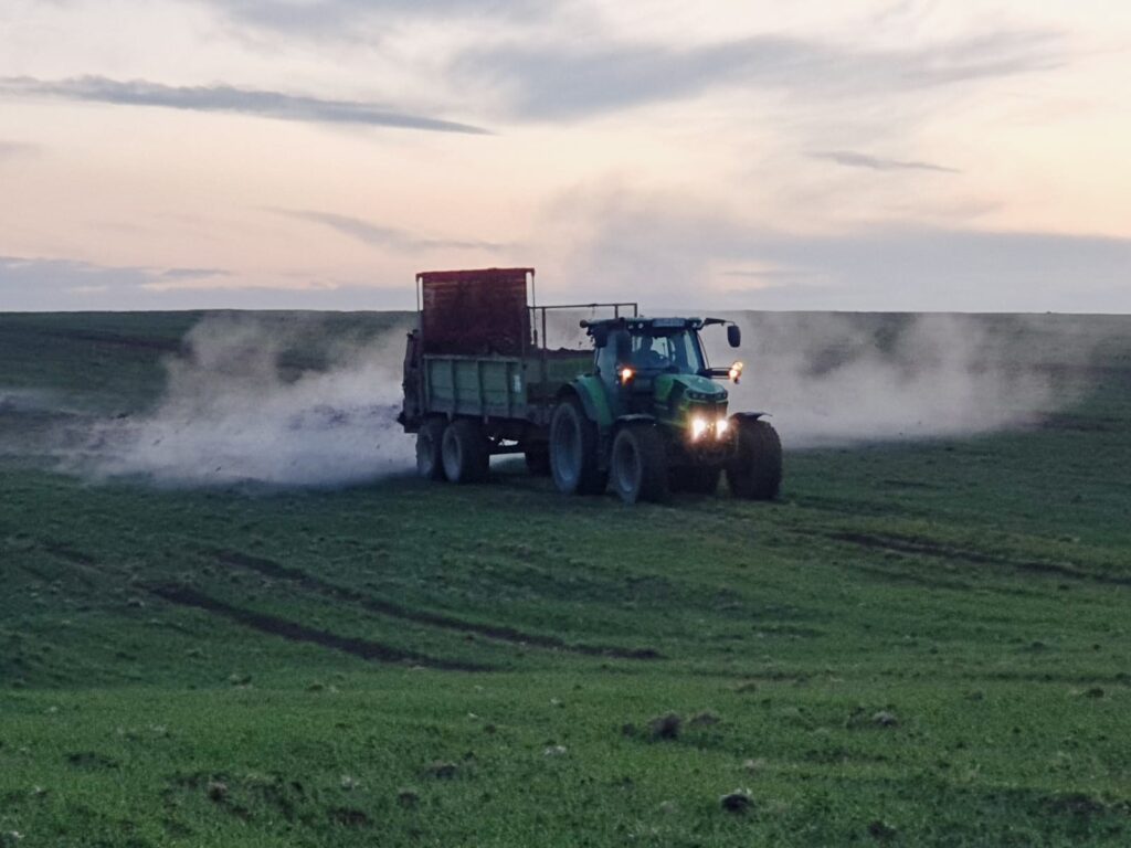 Mist-streuen-1024x768 Kartoffeln, Eier, Rindfleisch & Produkte vom Schwein - direkt vom Landwirt