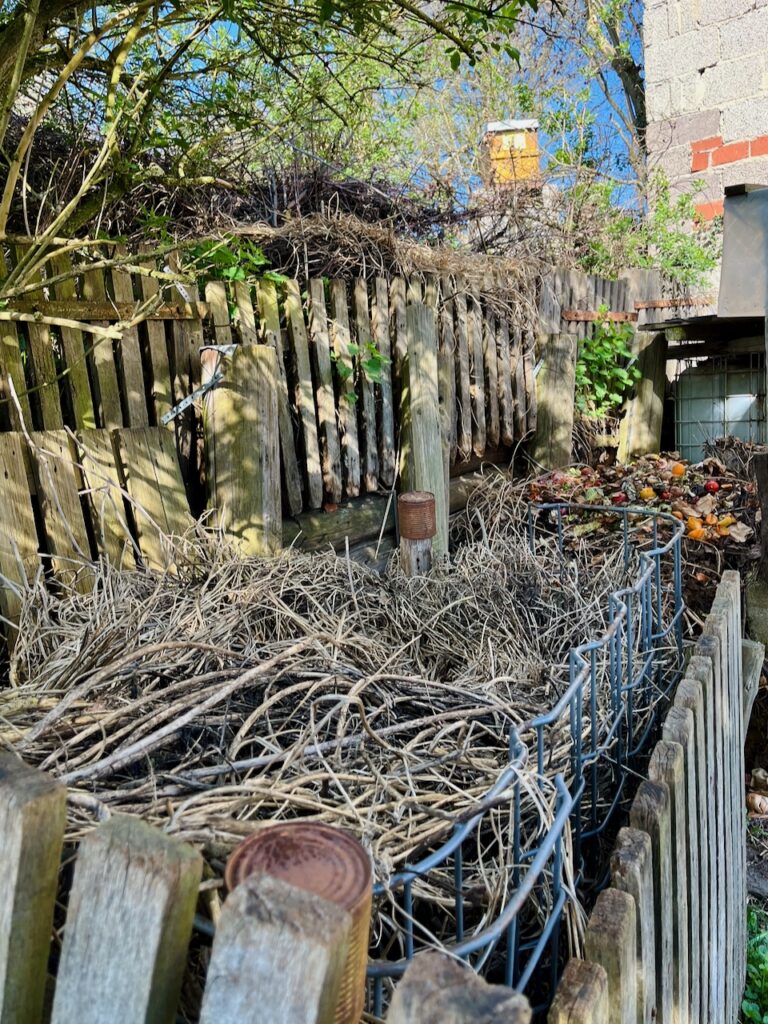 Pedro-Gemuese-April-2026-21-768x1024 Pedro Trabula Albus, ein hoch angesehenes Urgestein & ein Pionier im Biogemüse- und Naturkosthandel