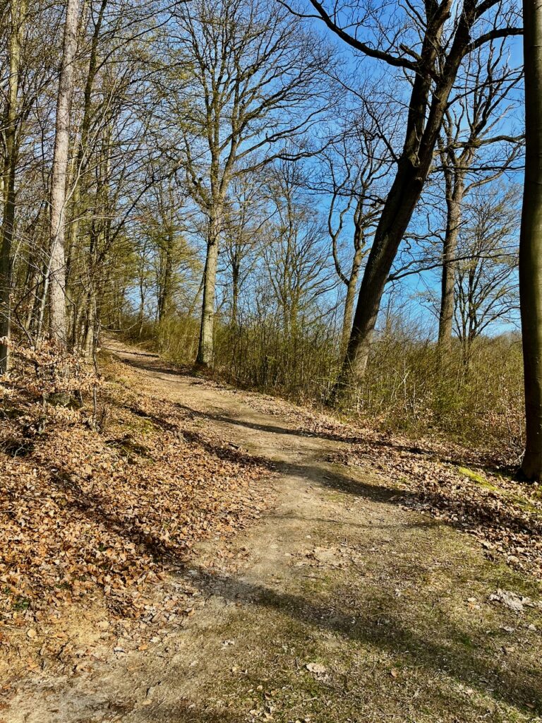Rund-um-den-Kipp-Gutenacker-2026-16-768x1024 Wer löst das Rätsel am Weg "Rund um den Kipp" in Gutenacker?