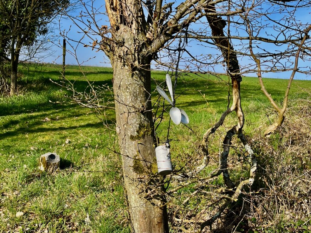 Rund-um-den-Kipp-Gutenacker-2026-4-1024x768 Wer löst das Rätsel am Weg "Rund um den Kipp" in Gutenacker?