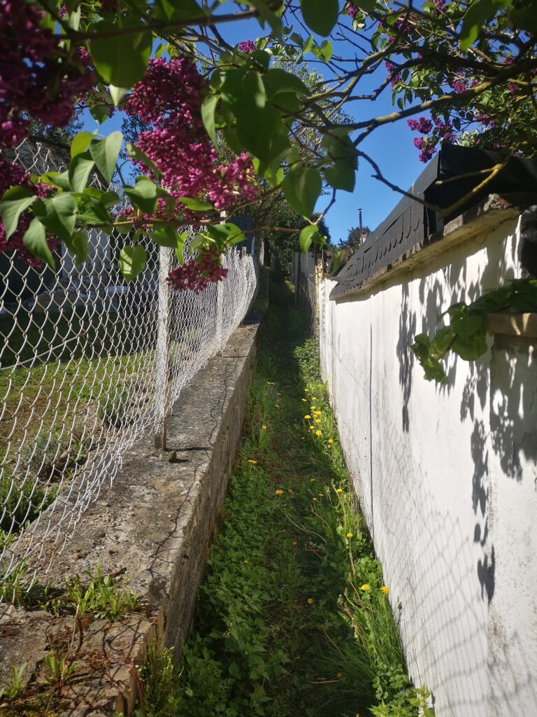 Trampelpfad-zwischen-den-Grundstuecken-768x1024 „Ich habe fünf Jahre jeden Tag auf dieses Haus geguckt. Dann hab ich’s gekauft.“