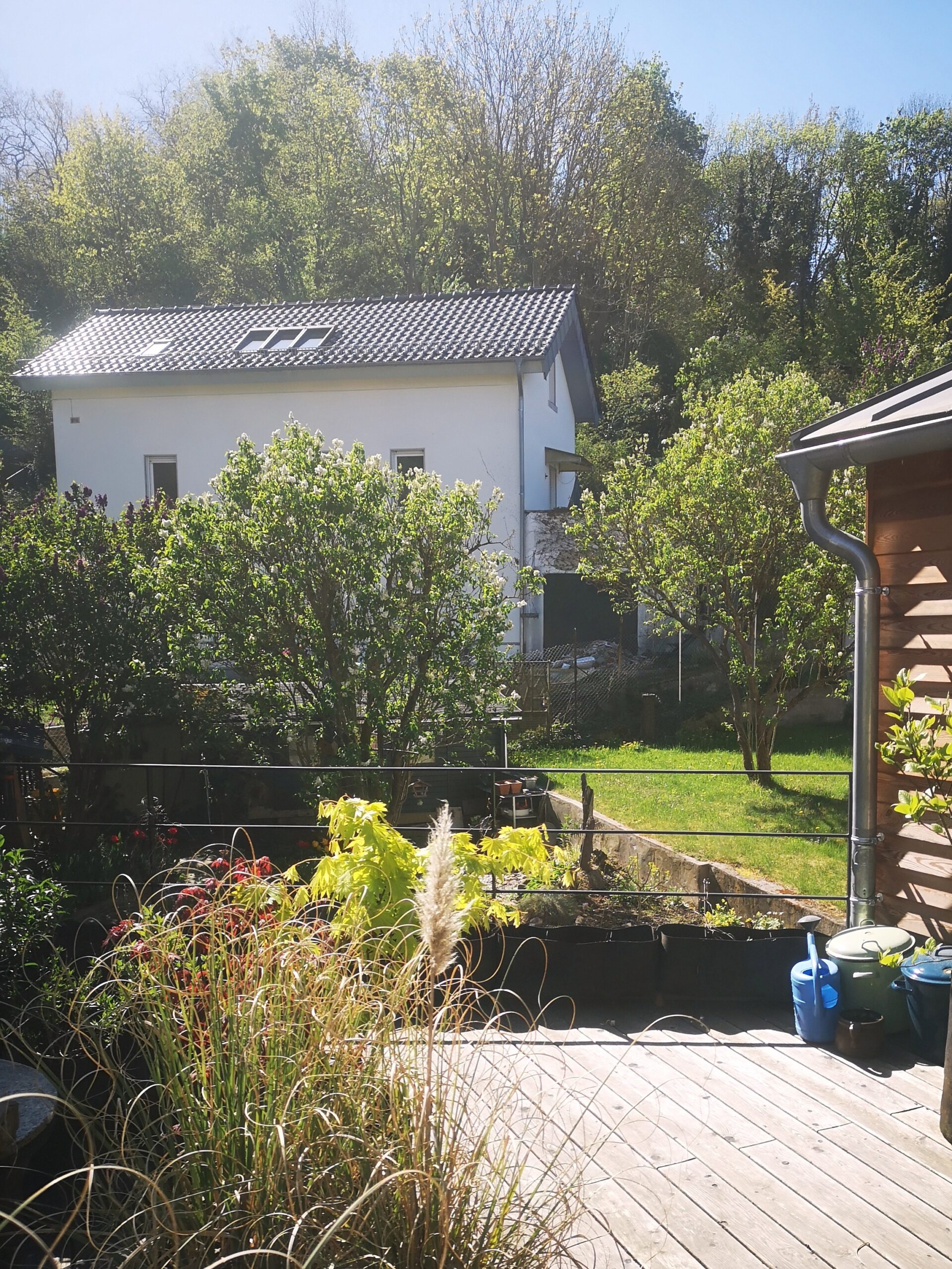 der-taegliche-Blick-von-zuhause-scaled „Ich habe fünf Jahre jeden Tag auf dieses Haus geguckt. Dann hab ich’s gekauft.“
