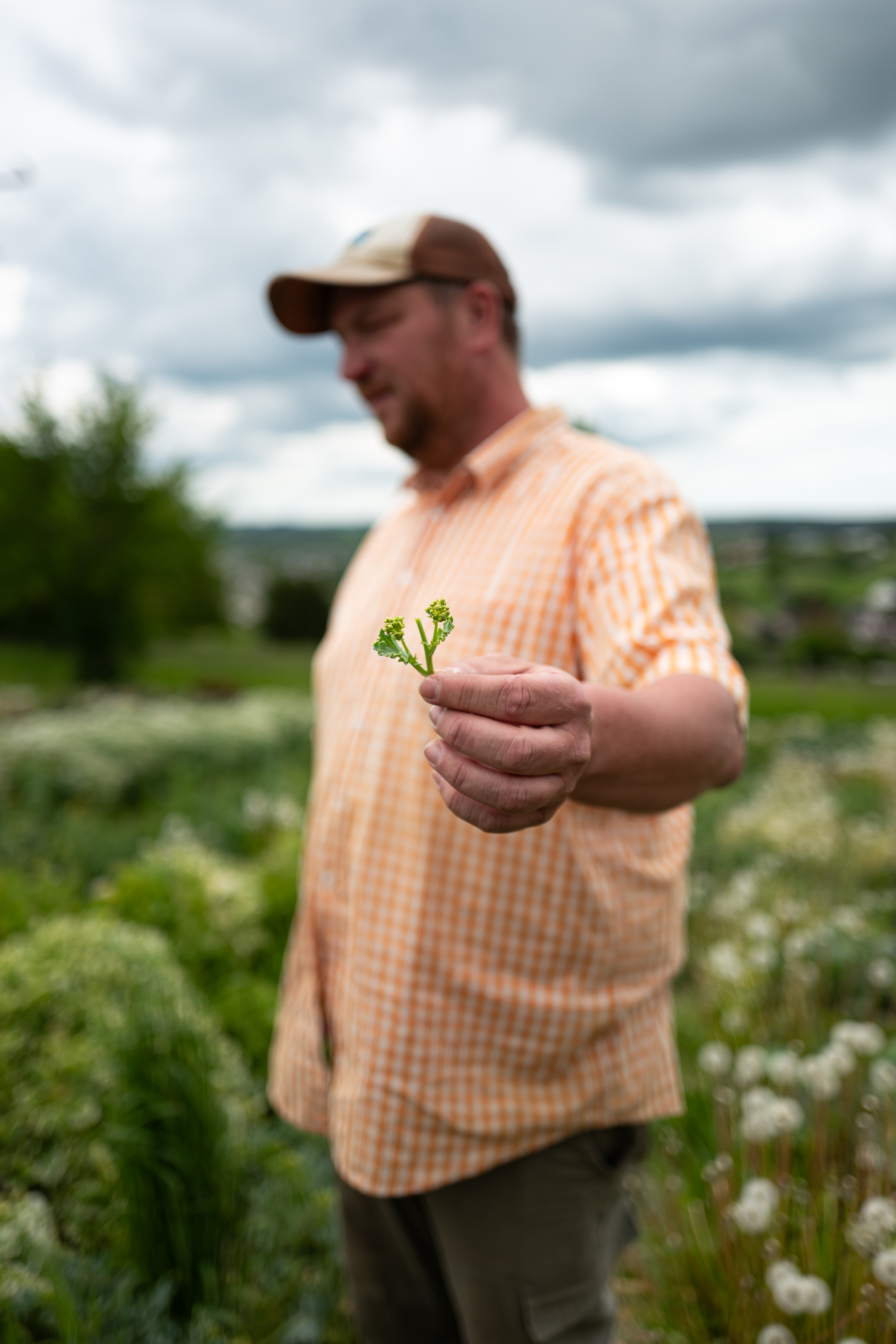 L1190142 Zwischen Erde, Mut und Handarbeit – Oelsberger Gartengemüse
