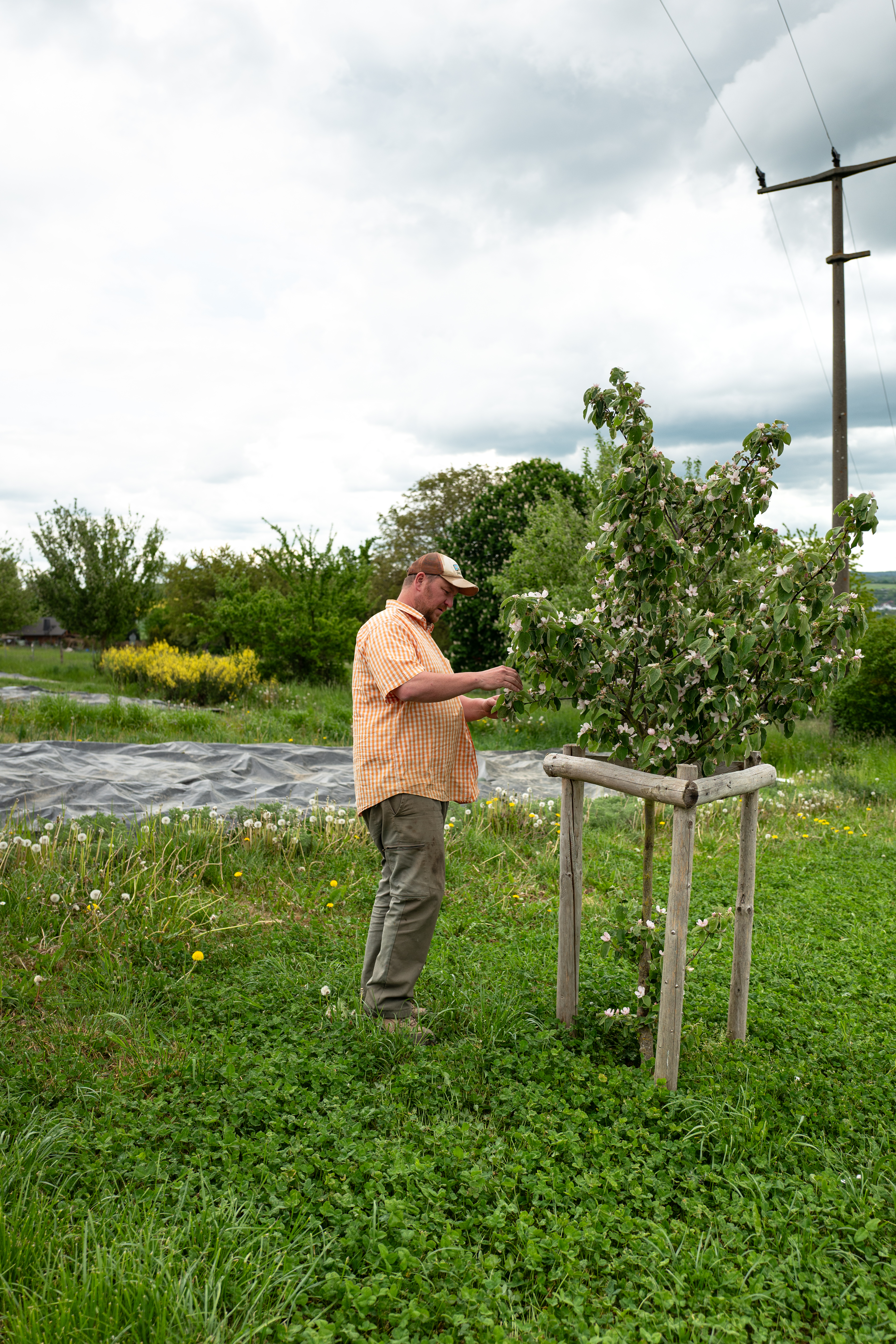 L1190156-1 Zwischen Erde, Mut und Handarbeit – Oelsberger Gartengemüse