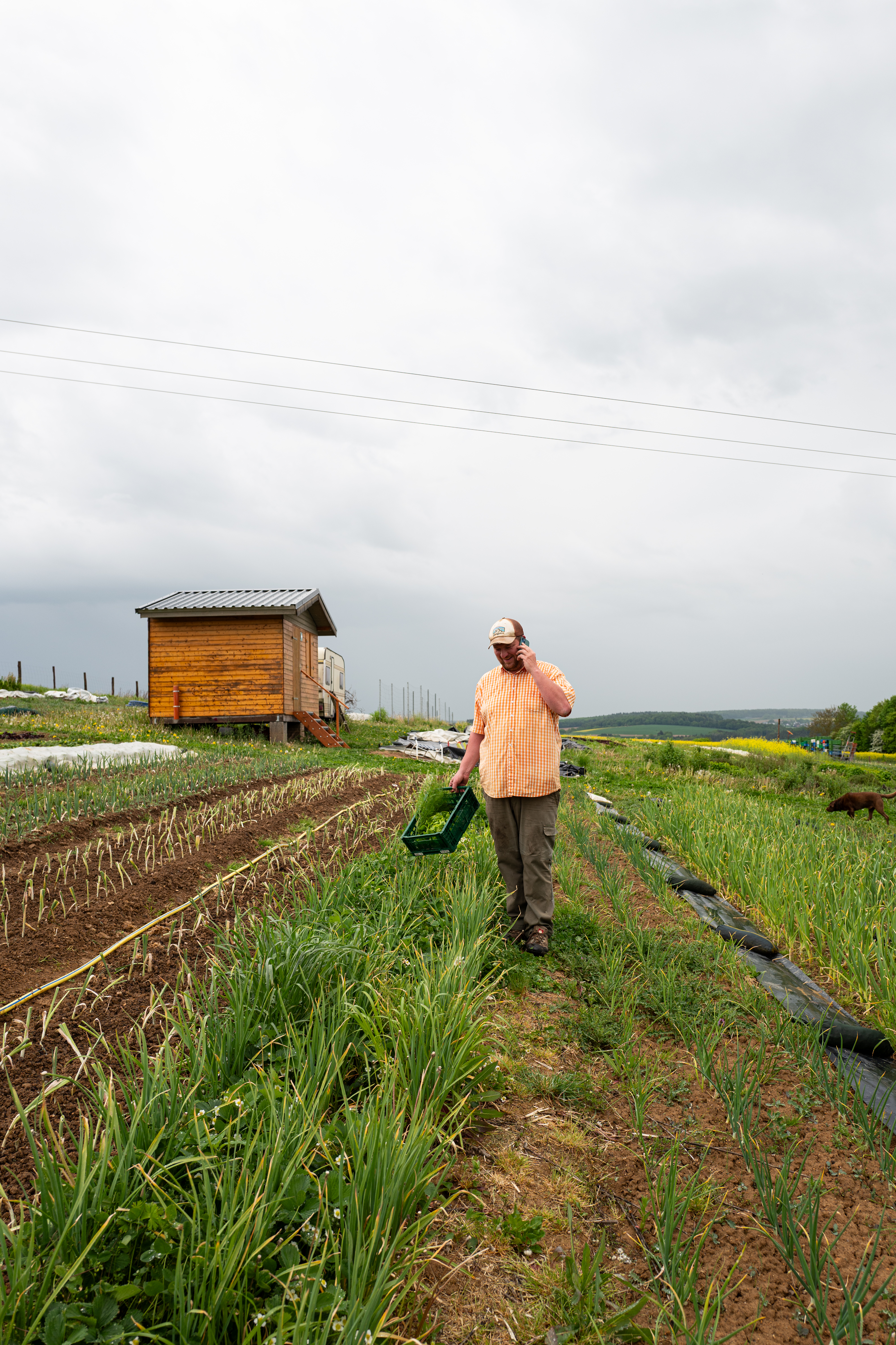 L1190221 Zwischen Erde, Mut und Handarbeit – Oelsberger Gartengemüse