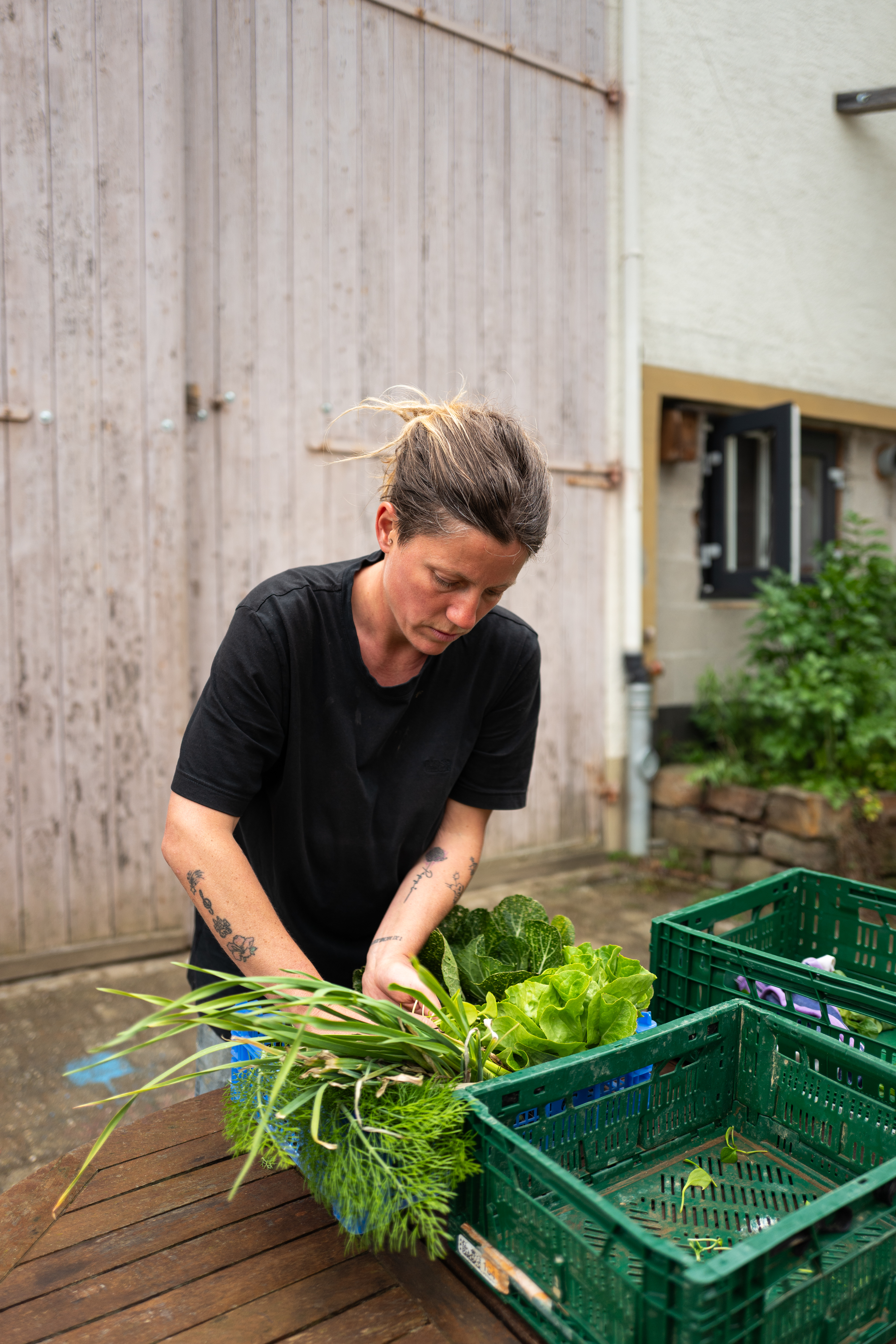 L1190256 Zwischen Erde, Mut und Handarbeit – Oelsberger Gartengemüse