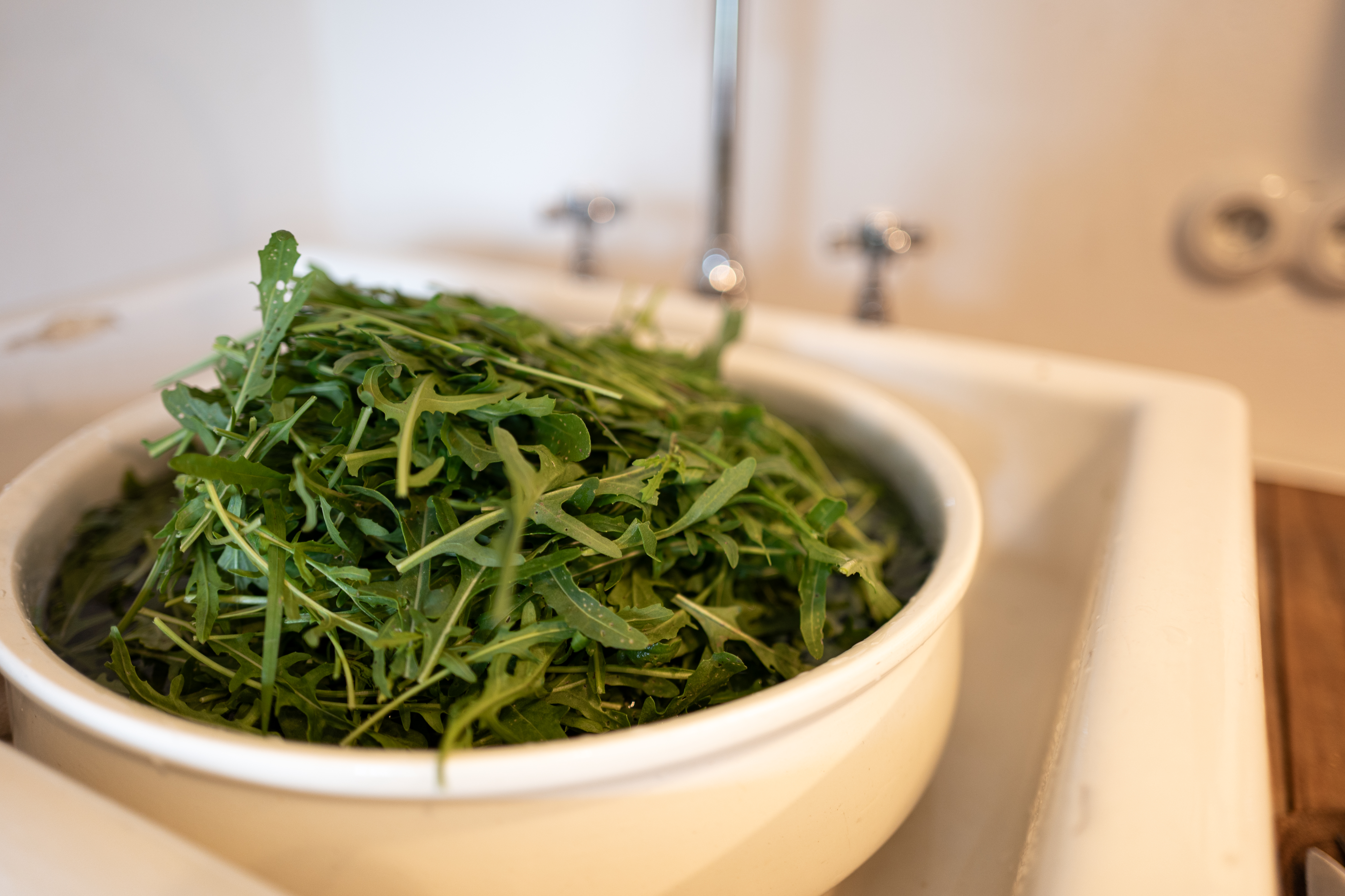 L1190313-1 Rucola-Pesto: Vom Garten direkt in die Schüssel