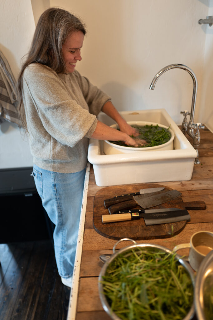 L1190323-683x1024 Rucola-Pesto: Vom Garten direkt in die Schüssel