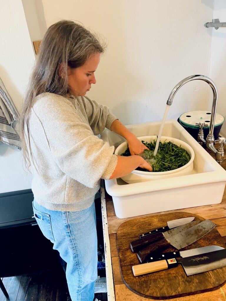 Rucolapesto-mit-Annemarie-Imgrund-2026-14-768x1024 Rucola aus dem eigenen Garten wird zu(r) Pesto - Küchensession mit Annemarie Imgrund