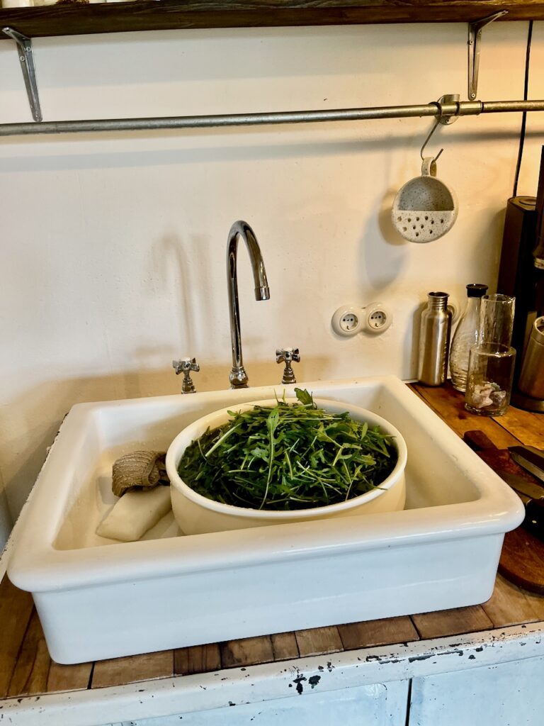 Rucolapesto-mit-Annemarie-Imgrund-2026-16-768x1024 Rucola aus dem eigenen Garten wird zu(r) Pesto - Küchensession mit Annemarie Imgrund
