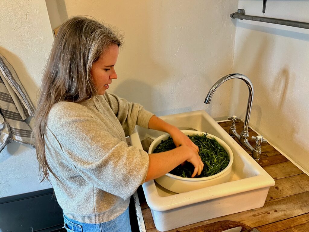 Rucolapesto-mit-Annemarie-Imgrund-2026-19-1024x768 Rucola aus dem eigenen Garten wird zu(r) Pesto - Küchensession mit Annemarie Imgrund