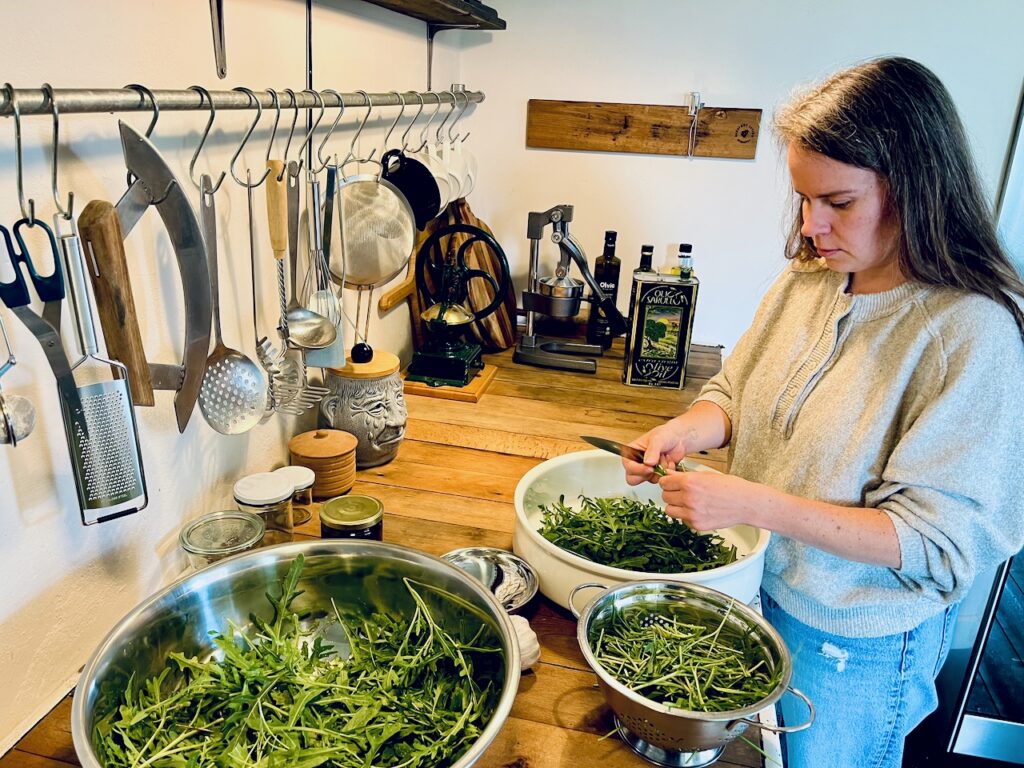 Rucolapesto-mit-Annemarie-Imgrund-2026-6-1024x768 Rucola aus dem eigenen Garten wird zu(r) Pesto - Küchensession mit Annemarie Imgrund