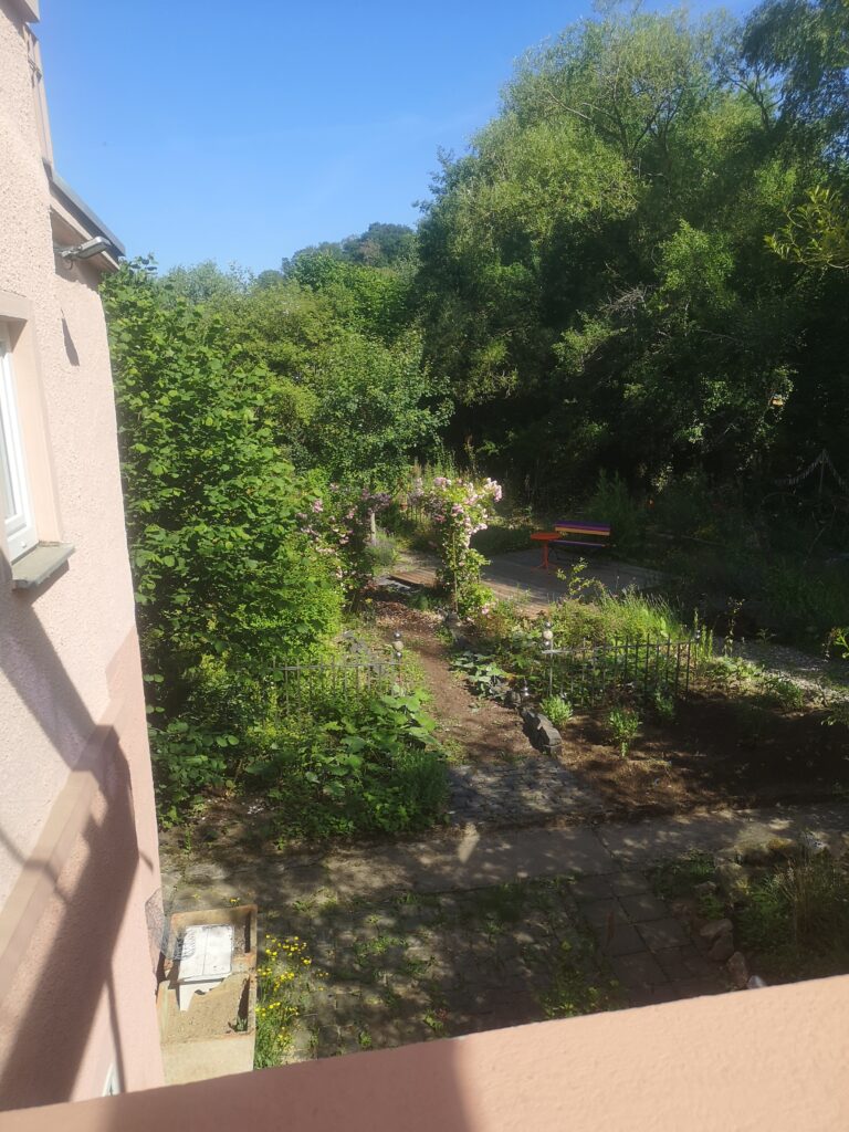 Blick-von-der-Eingangstreppe2-768x1024 "Hast schon wieder die Gummistiefel an"