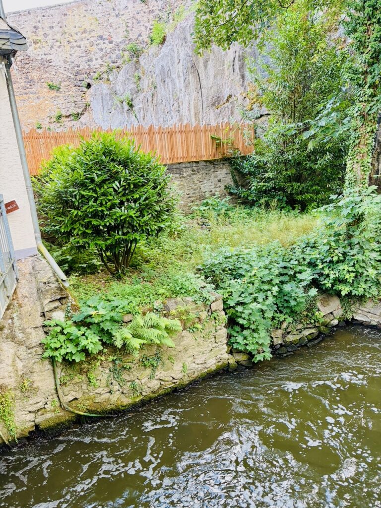 Obermuehle-in-Limburg-a.-d.-L.-Juni-2026-32-768x1024 Die Obermühle in Limburg ist ein kleines gastronomisches Juwel und bietet beste Rumpsteaks, Schnitzel & eine tolle Atmosphäre