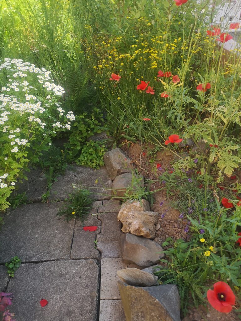 neben-der-Hautuere-768x1024 "Hast schon wieder die Gummistiefel an"