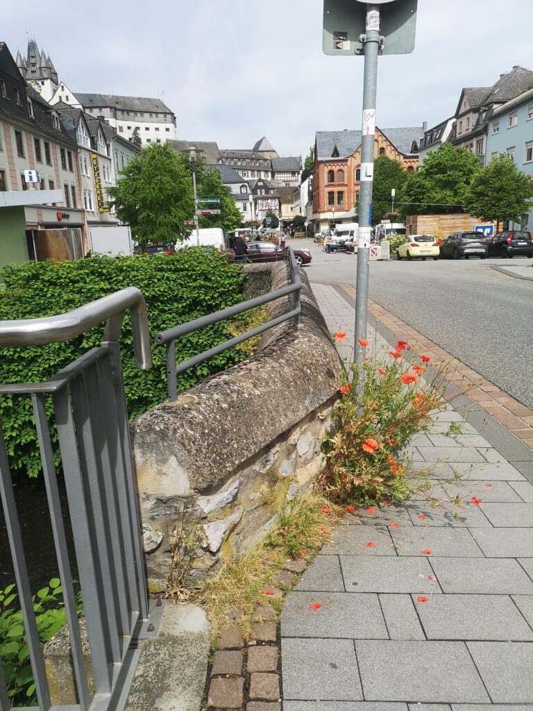 rueber-zum-Marktplatz-768x1024 Business Improvement District. Oder: Wie weit reicht die Liebe für Diez?