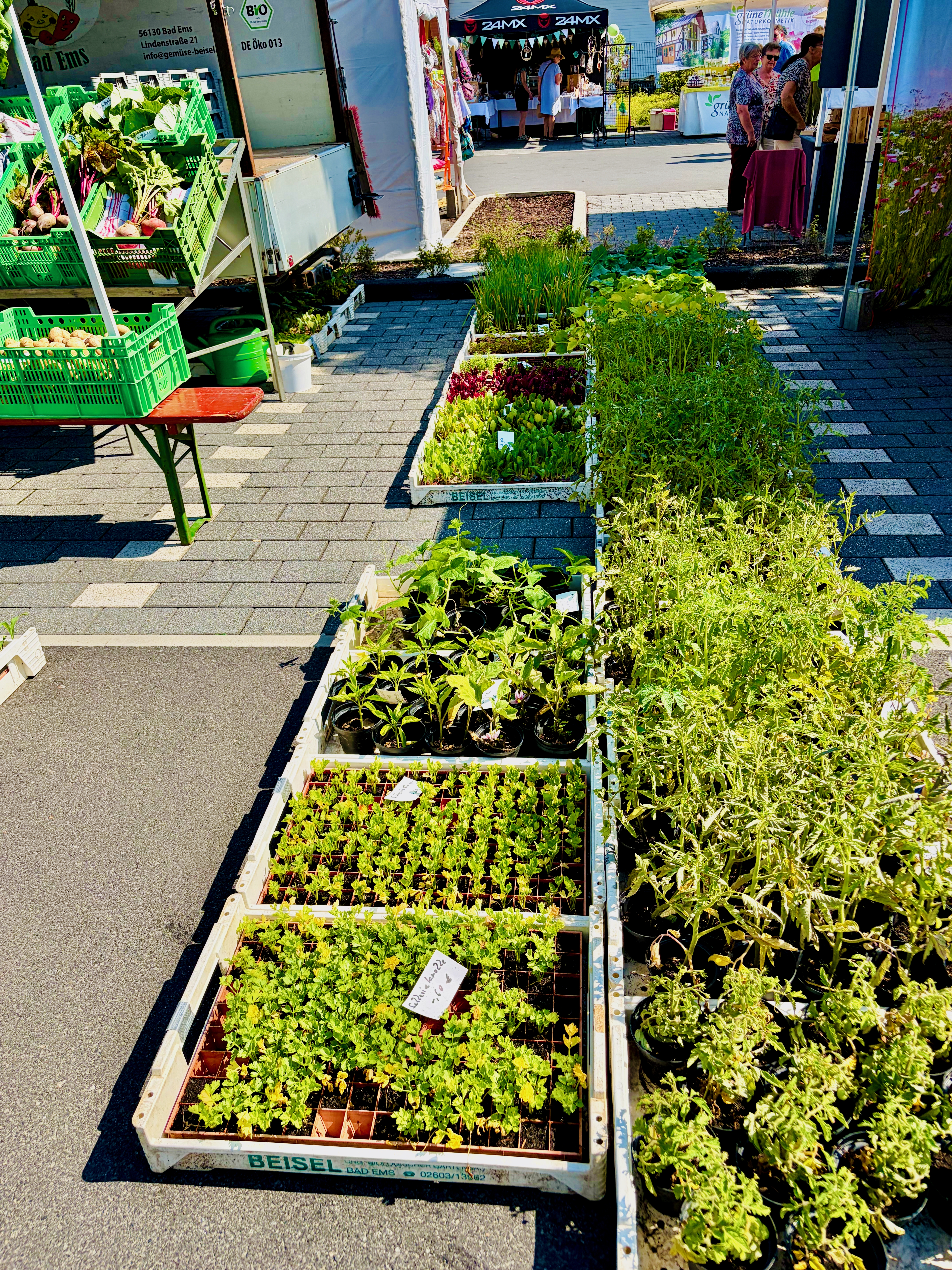 Tag-der-Landwirtschaft-Nastaetten-2026-20 Fest der Landwirtschaft 2026 in Nastätten – ein Volltreffer! Gratulation & Glückwünsche vor allem an die Landjugend Rhein-Lahn!