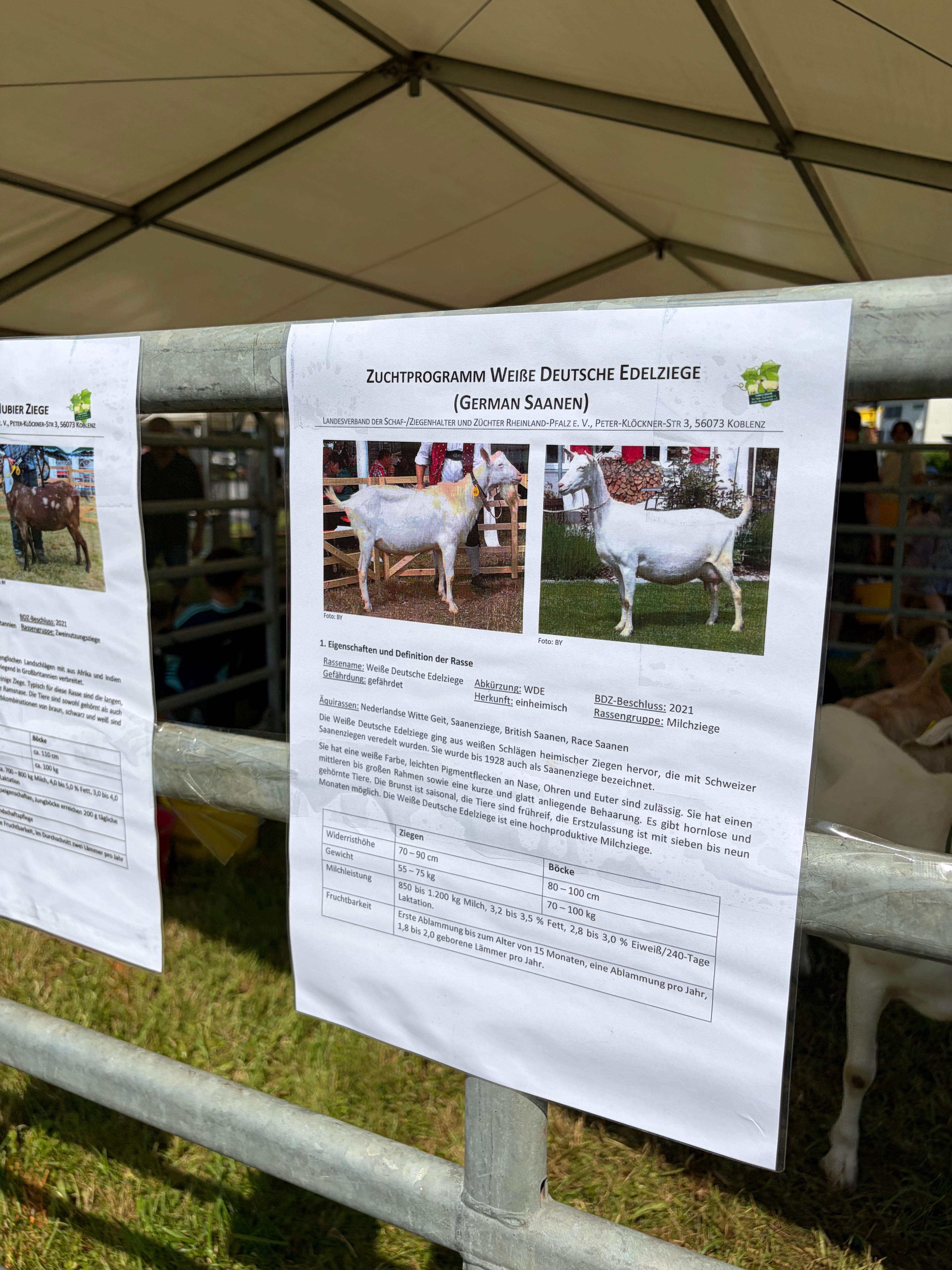 Tag-der-Landwirtschaft-Nastaetten-2026-47 Fest der Landwirtschaft 2026 in Nastätten – ein Volltreffer! Gratulation & Glückwünsche vor allem an die Landjugend Rhein-Lahn!