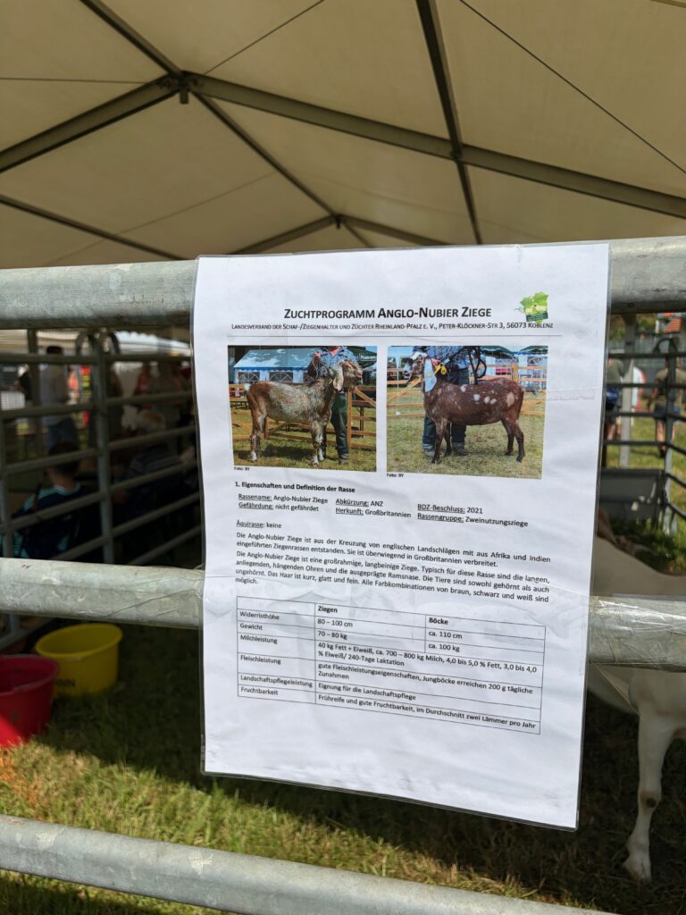 Tag-der-Landwirtschaft-Nastaetten-2026-48-768x1024 Fest der Landwirtschaft 2026 in Nastätten – ein Volltreffer! Gratulation & Glückwünsche vor allem an die Landjugend Rhein-Lahn!