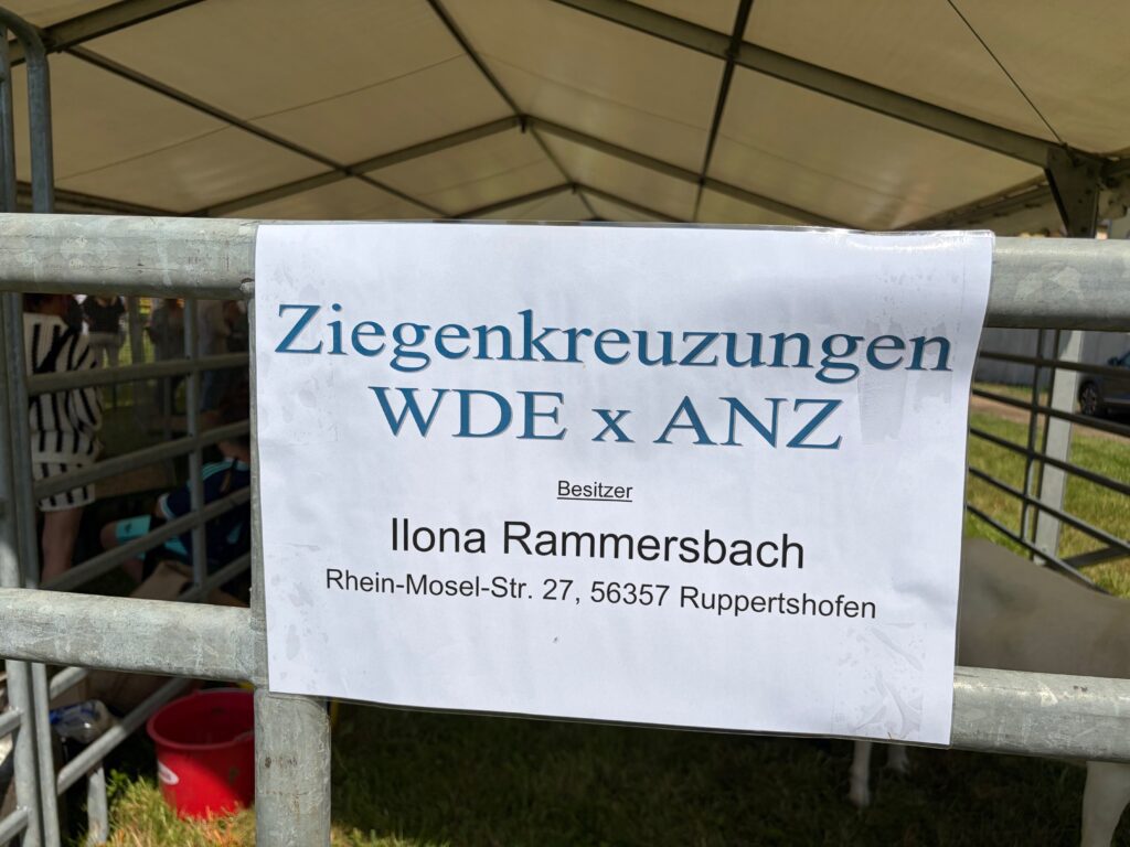 Tag-der-Landwirtschaft-Nastaetten-2026-49-1024x768 Fest der Landwirtschaft 2026 in Nastätten – ein Volltreffer! Gratulation & Glückwünsche vor allem an die Landjugend Rhein-Lahn!