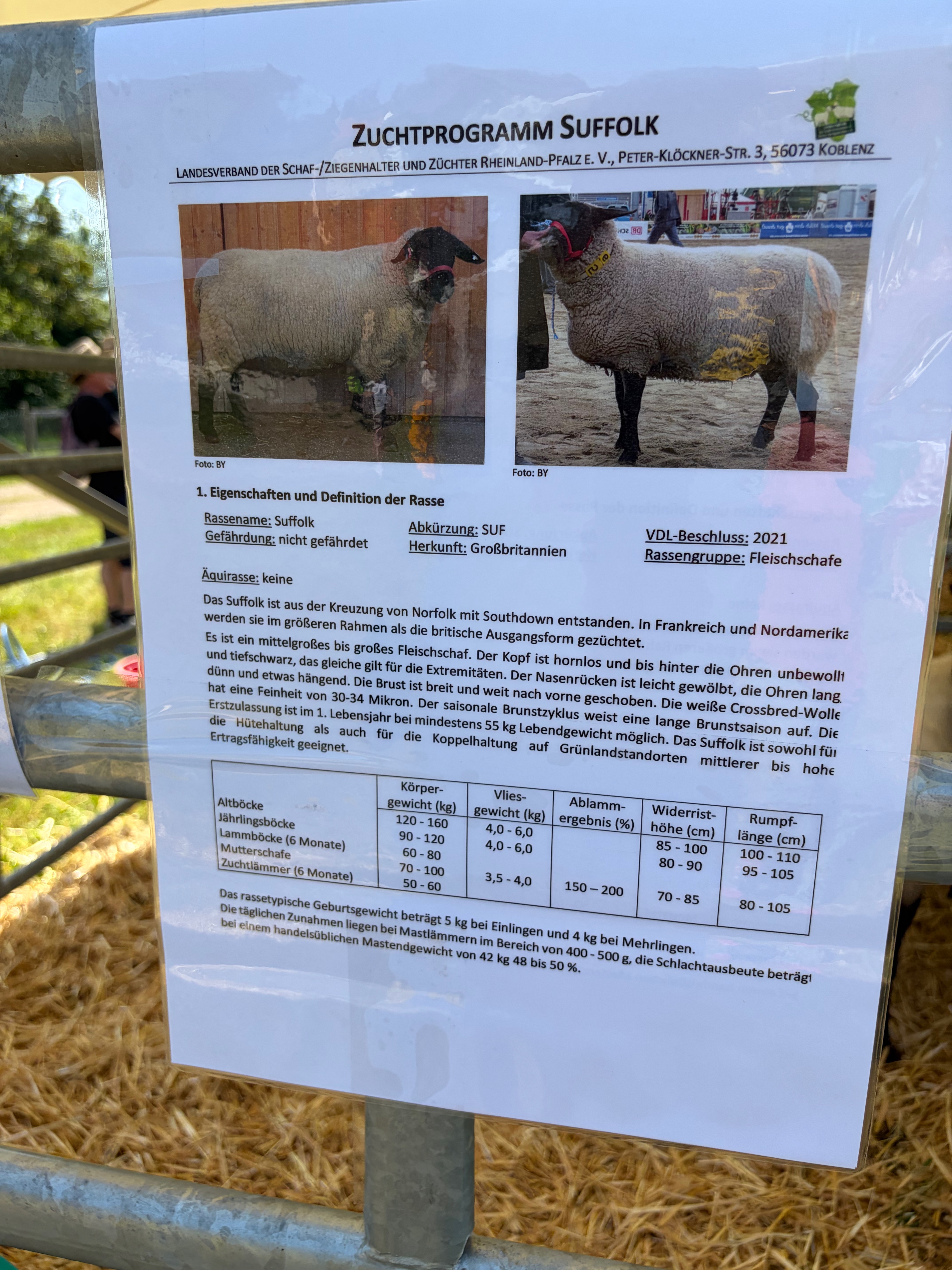 Tag-der-Landwirtschaft-Nastaetten-2026-53 Fest der Landwirtschaft 2026 in Nastätten – ein Volltreffer! Gratulation & Glückwünsche vor allem an die Landjugend Rhein-Lahn!