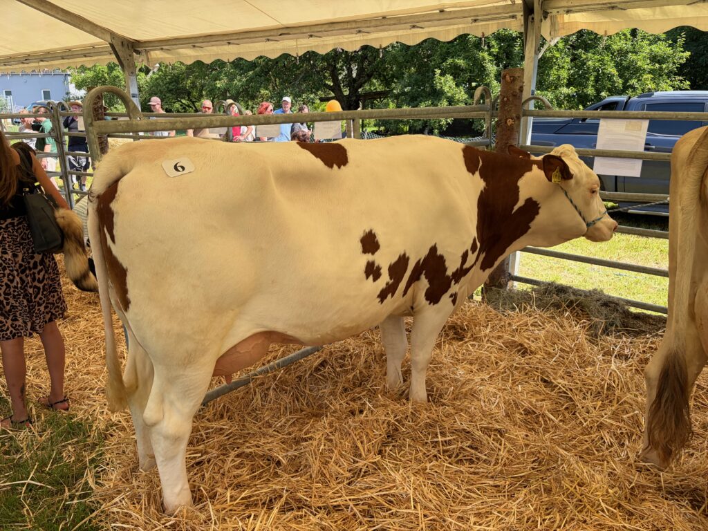 Tag-der-Landwirtschaft-Nastaetten-2026-55-1024x768 Fest der Landwirtschaft 2026 in Nastätten – ein Volltreffer! Gratulation & Glückwünsche vor allem an die Landjugend Rhein-Lahn!