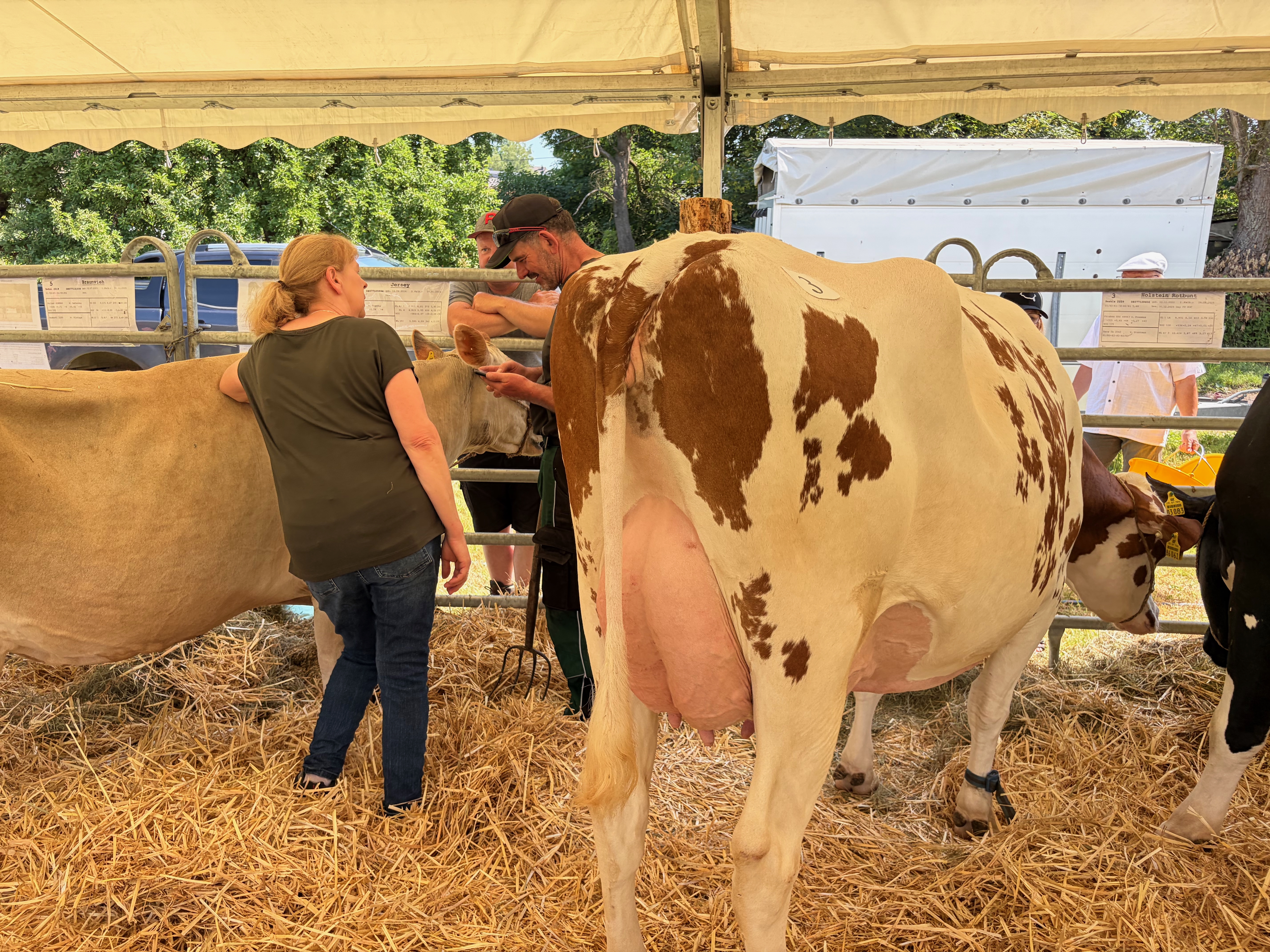 Tag-der-Landwirtschaft-Nastaetten-2026-57 Fest der Landwirtschaft 2026 in Nastätten – ein Volltreffer! Gratulation & Glückwünsche vor allem an die Landjugend Rhein-Lahn!
