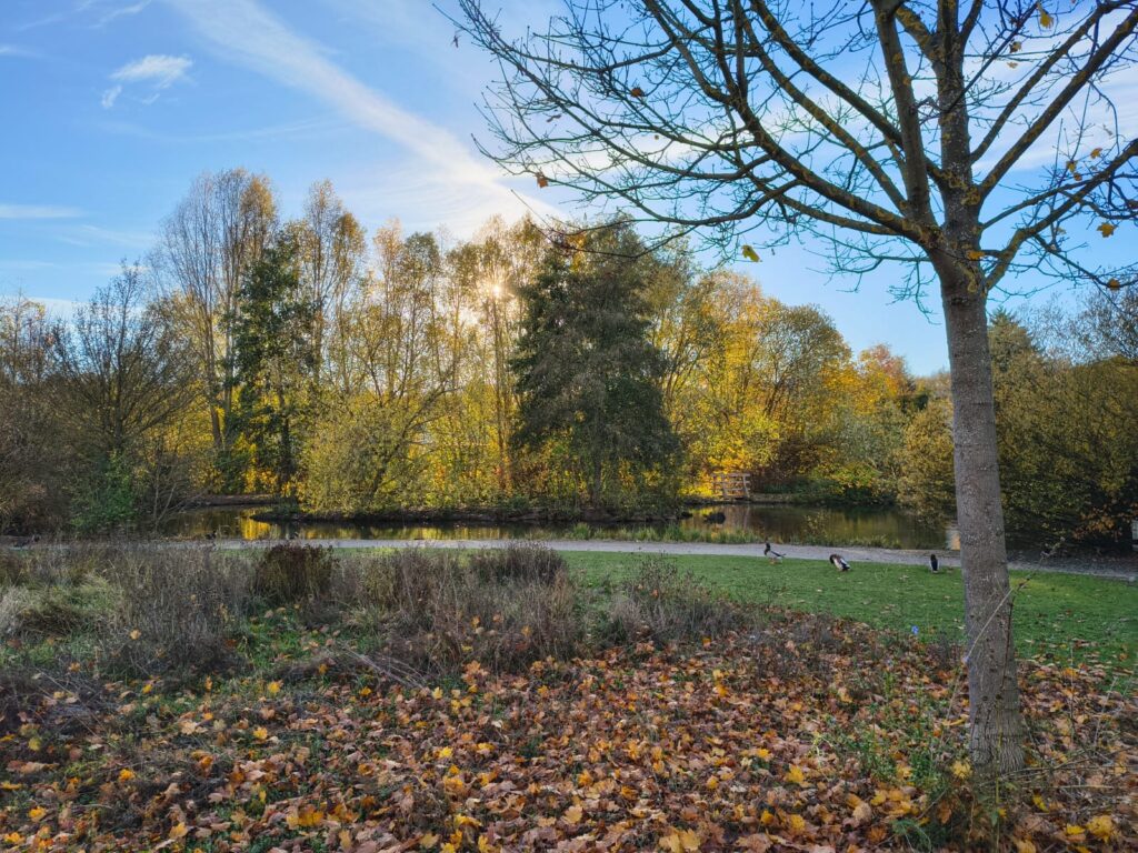 3-1024x768 Verdreckte Parkanlagen wegen Vandalismus und Hundebesitzern? Die Sache ist komplizierter …