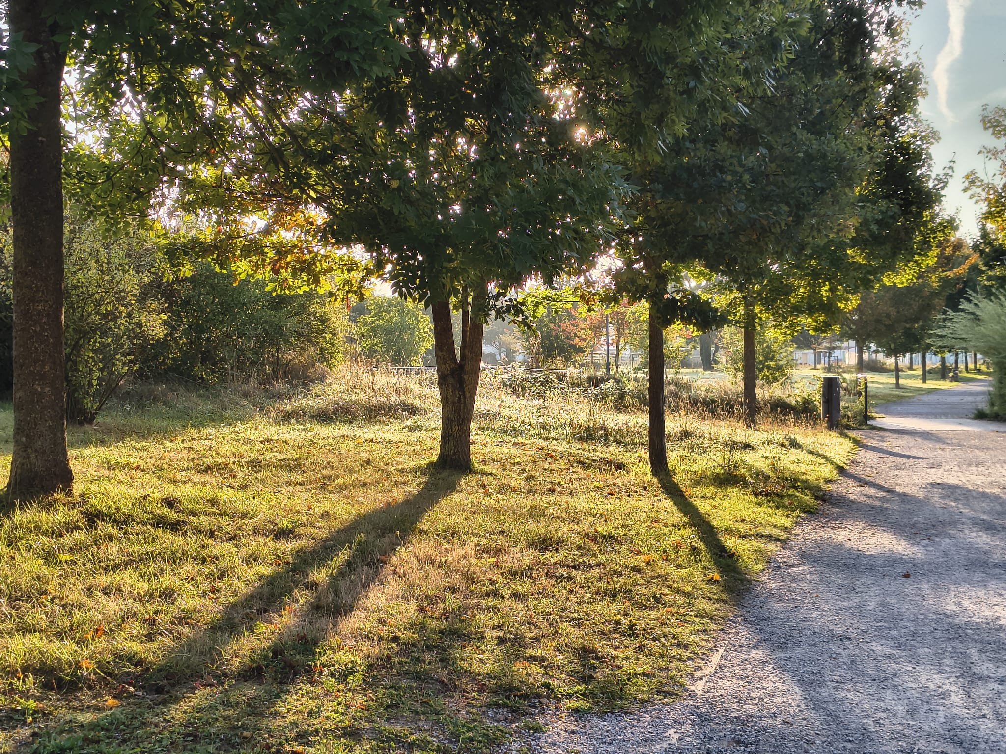 8 Verdreckte Parkanlagen wegen Vandalismus und Hundebesitzern? Die Sache ist komplizierter …