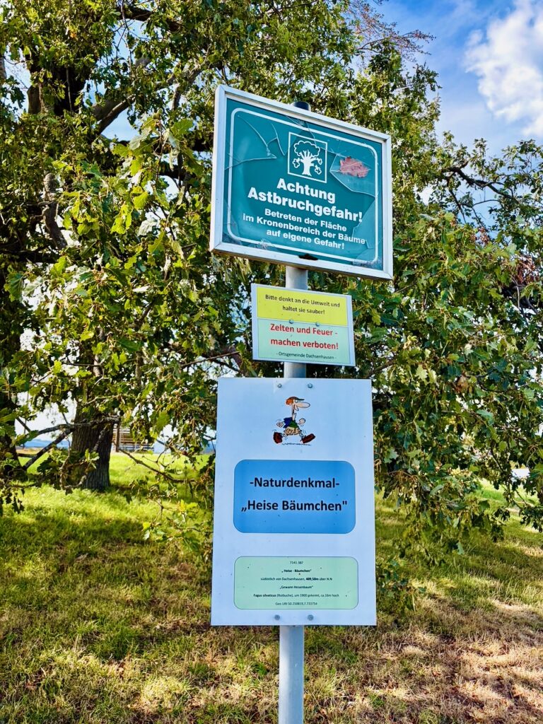 Heiss´-Baeumchen-bei-Dachsenhausen-2026-11-768x1024 Heiß´ Bäumchen bei Dachsenhausen – ein Aussichtspunkt mit Fernblick über das Blaue Ländchen