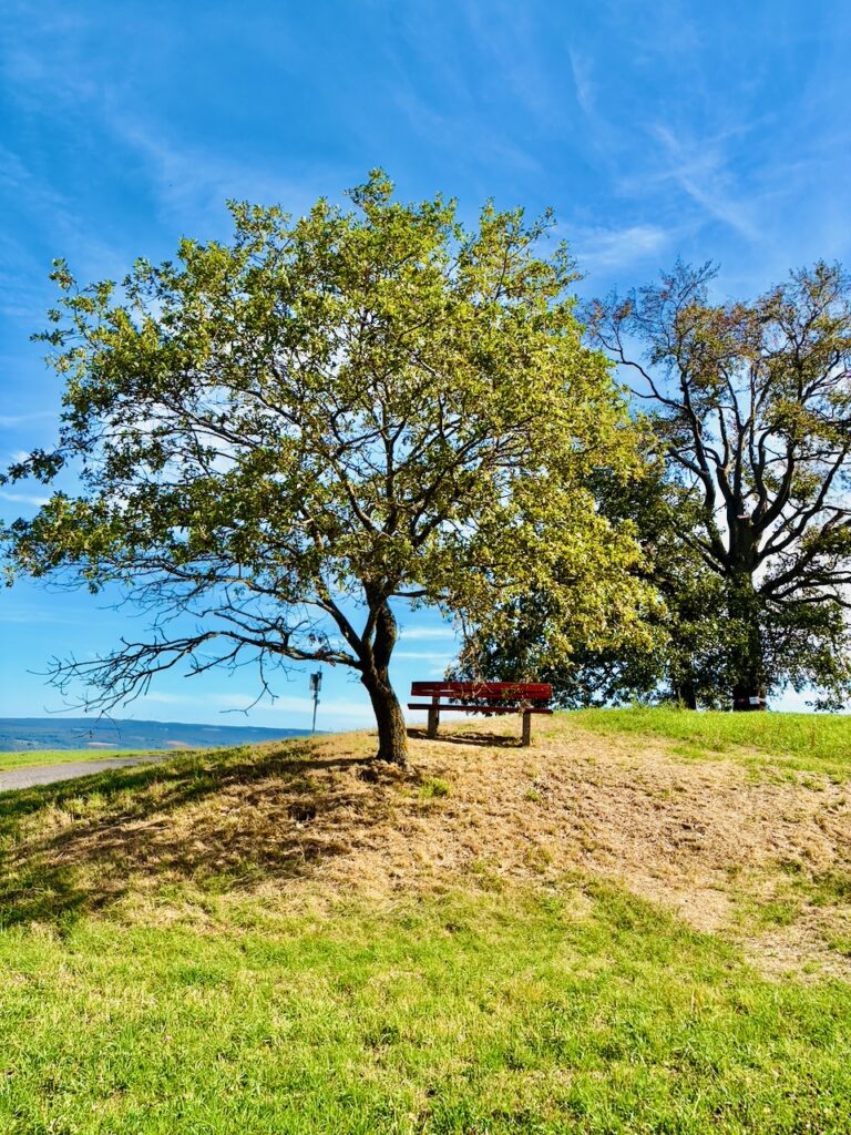 Heiss´-Baeumchen-bei-Dachsenhausen-2026-2-768x1024 Heiß´ Bäumchen bei Dachsenhausen – ein Aussichtspunkt mit Fernblick über das Blaue Ländchen