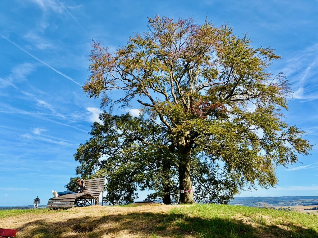 Heiss´-Baeumchen-bei-Dachsenhausen-2026-3-1024x768 Heiß´ Bäumchen bei Dachsenhausen – ein Aussichtspunkt mit Fernblick über das Blaue Ländchen