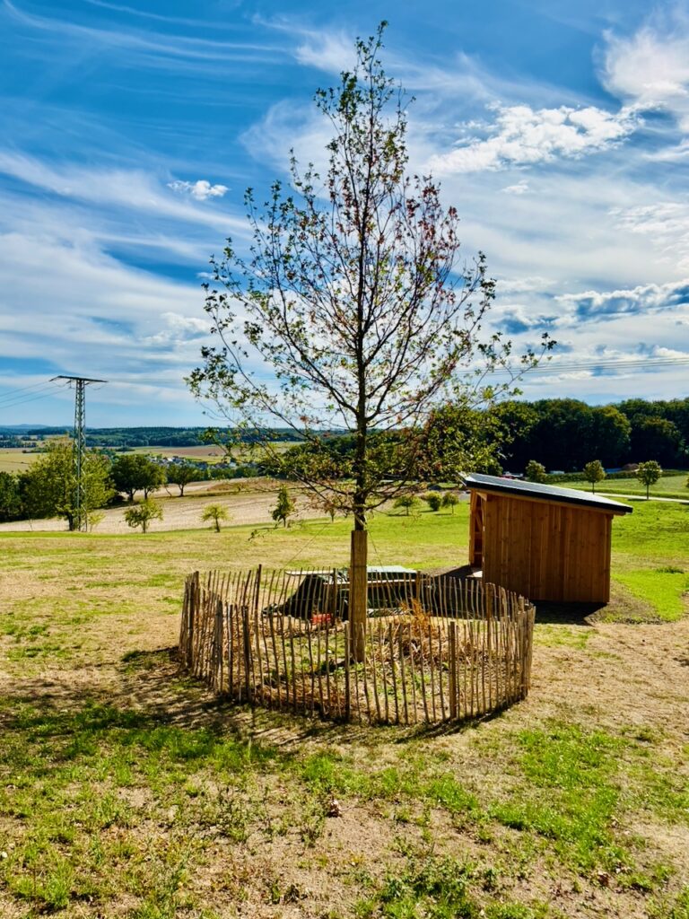 Heiss´-Baeumchen-bei-Dachsenhausen-2026-4-768x1024 Heiß´ Bäumchen bei Dachsenhausen – ein Aussichtspunkt mit Fernblick über das Blaue Ländchen